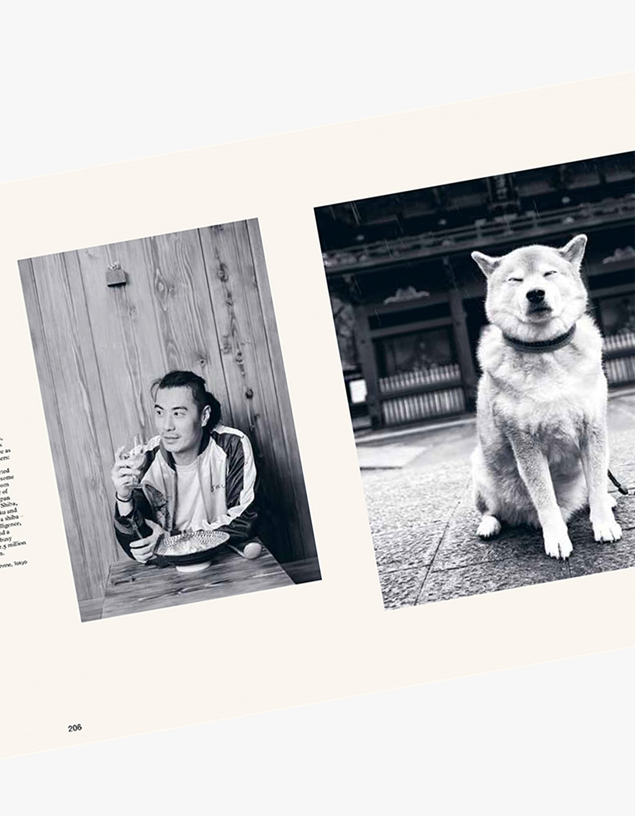 The Monocle Book Of Japan - Book