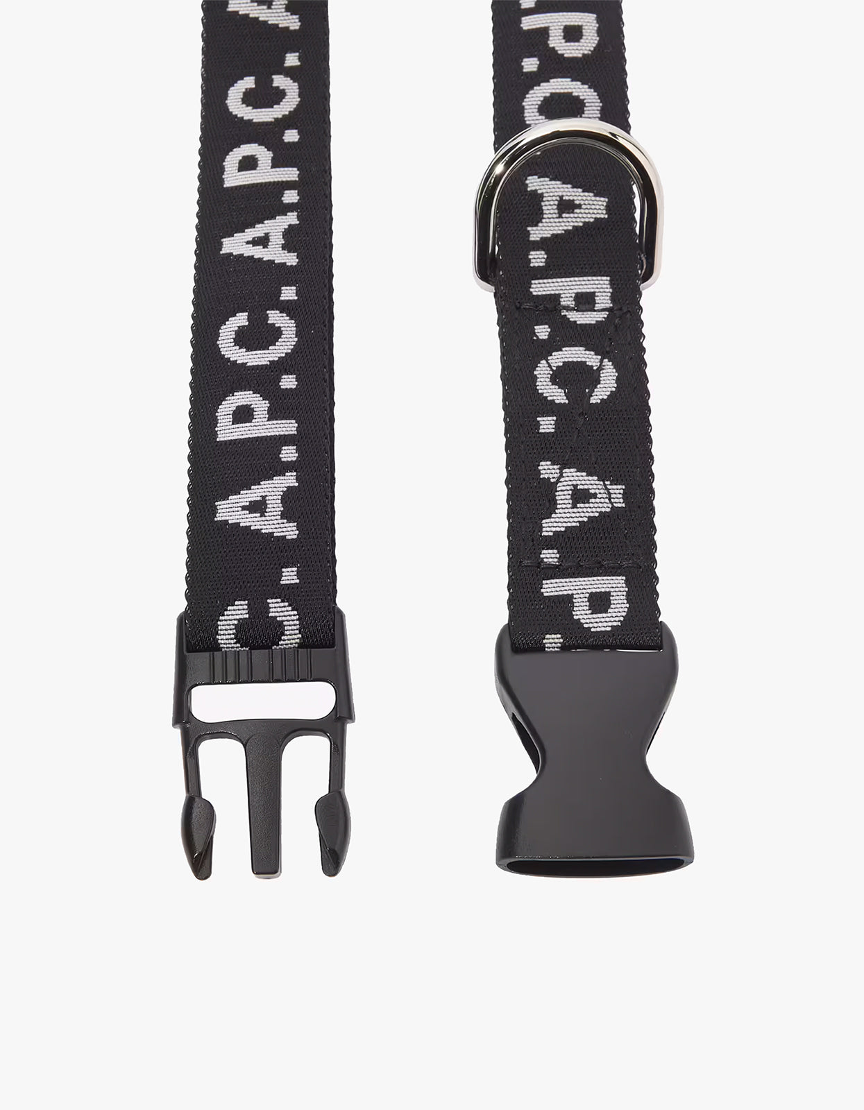 TOUTOU Logo Dog Collar - LZZ Black