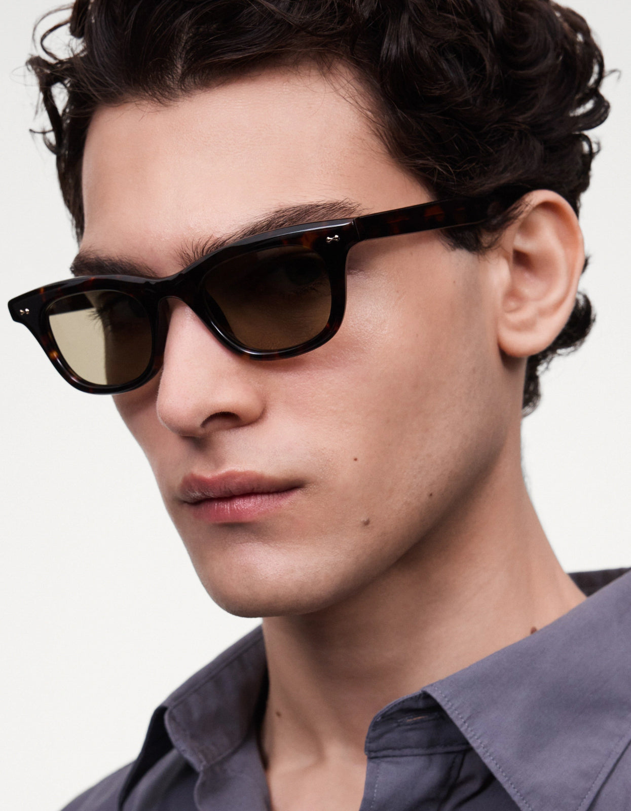 Ease Sunglasses - Tortoise