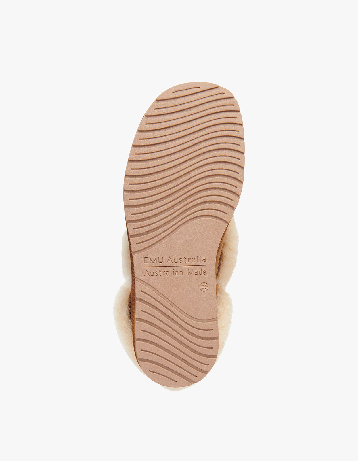 Platinum Mintaro - Chestnut