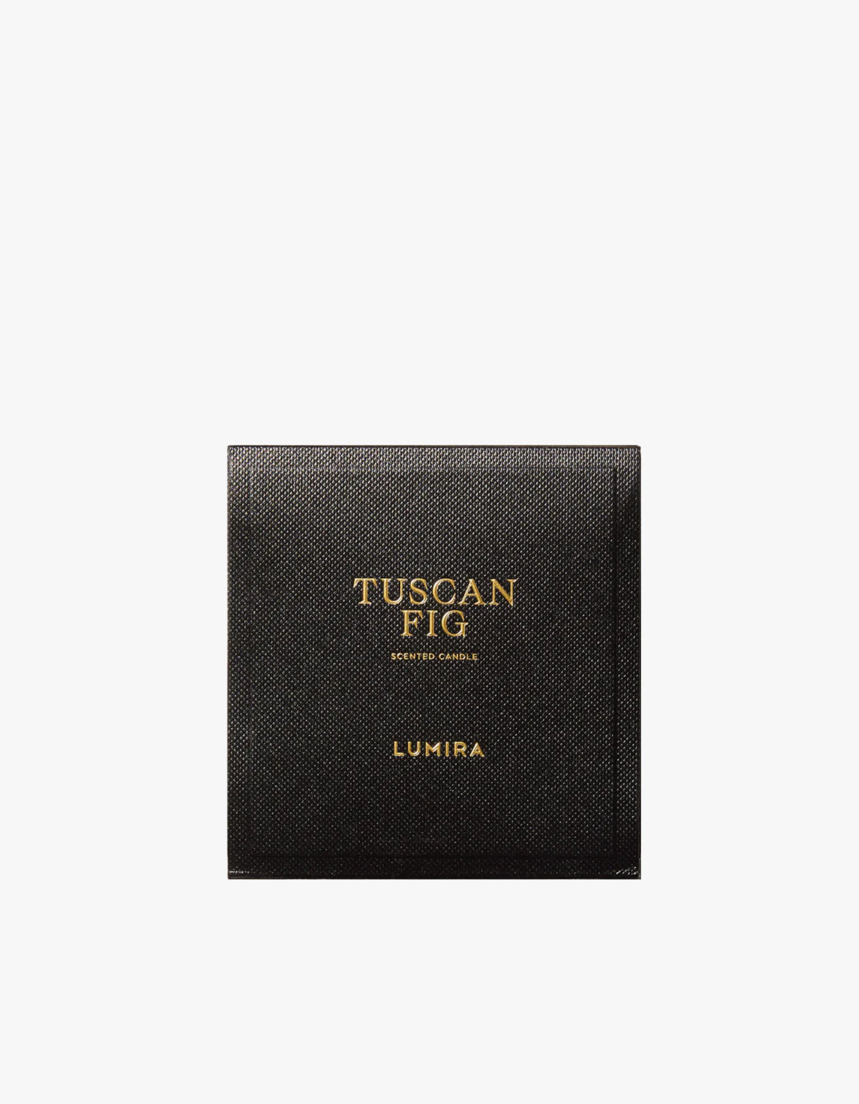 TUSCAN FIG: Fig Leaves & Fig Tree