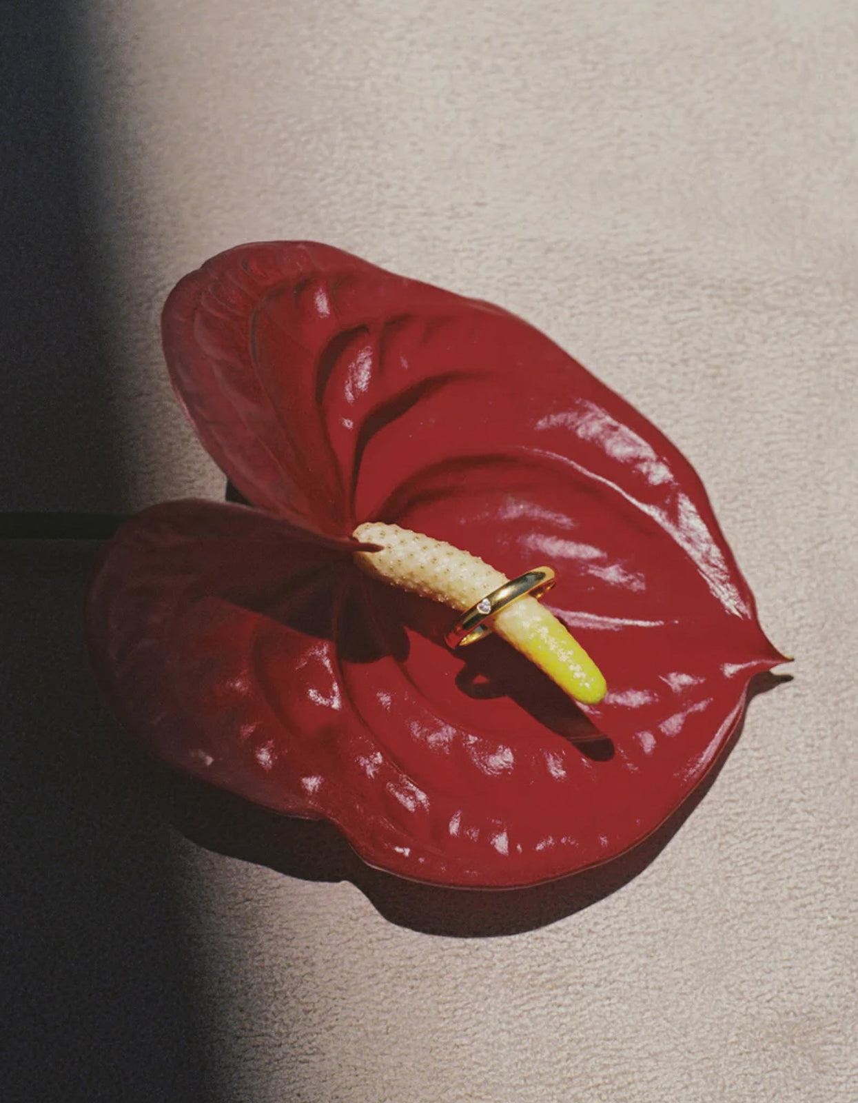 True Love Ring - Gold