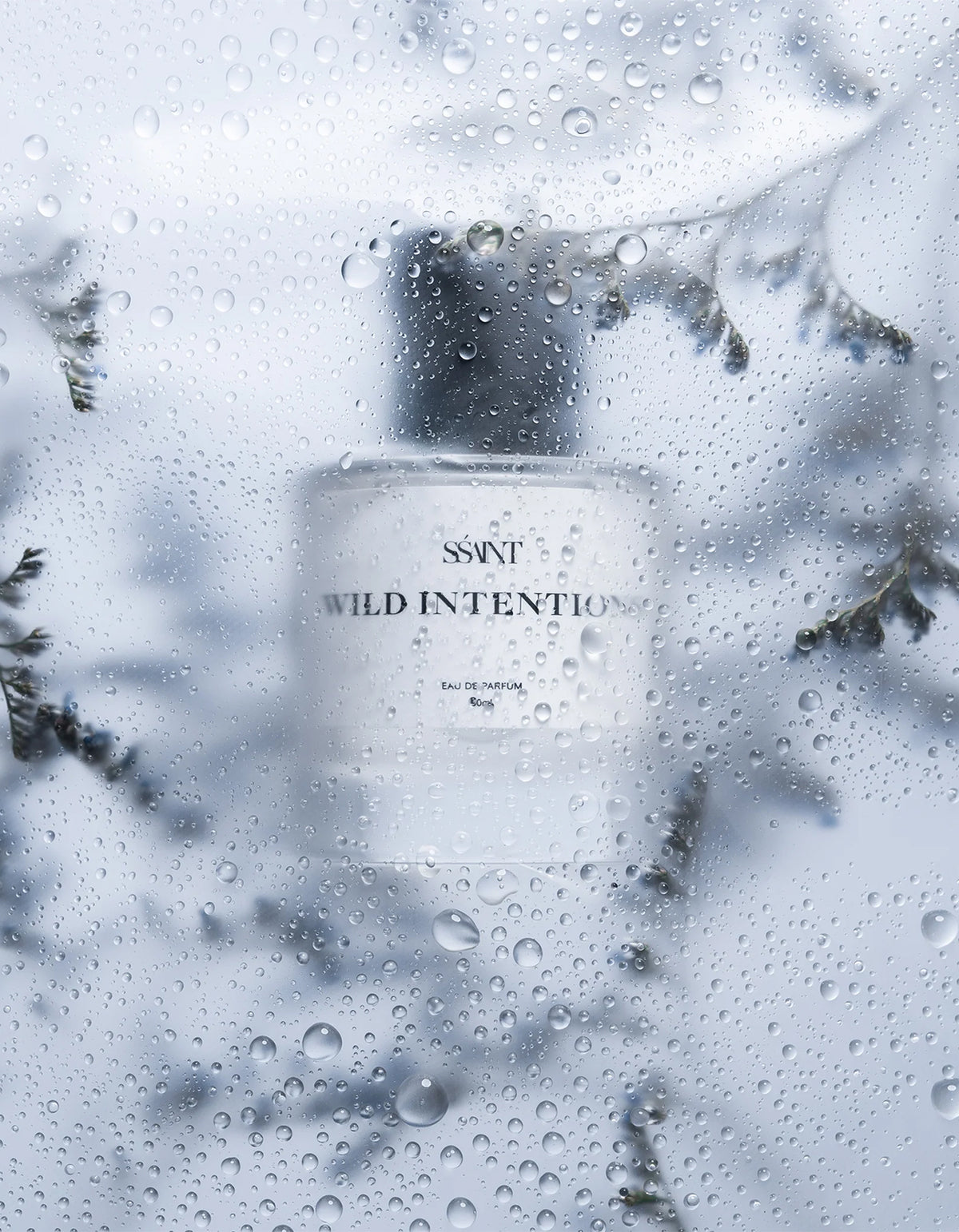 Wild Intentions 50ml - Clear