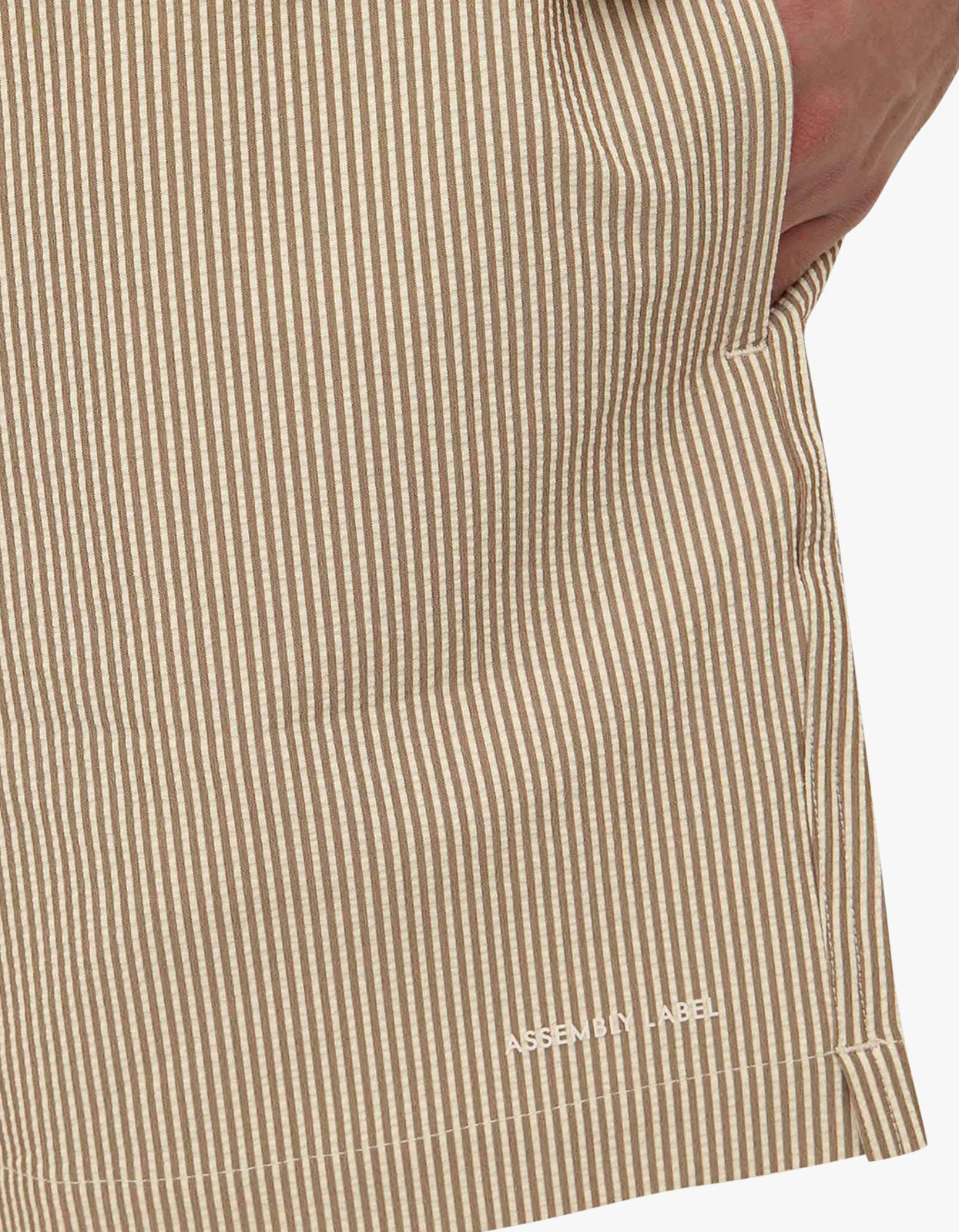 Ward Swim Short - Biscuit/Limestone