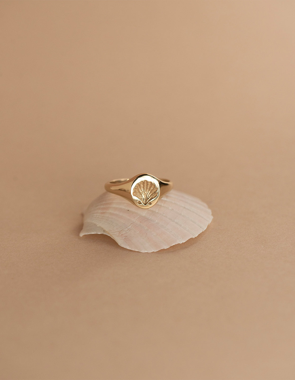 Secret Society Of Shell Lovers Signet Ring - Gold