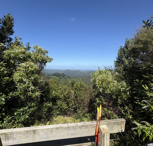 Four Auckland Trails Worth Getting Off the Couch For