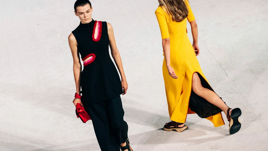 Introducing Proenza Schouler