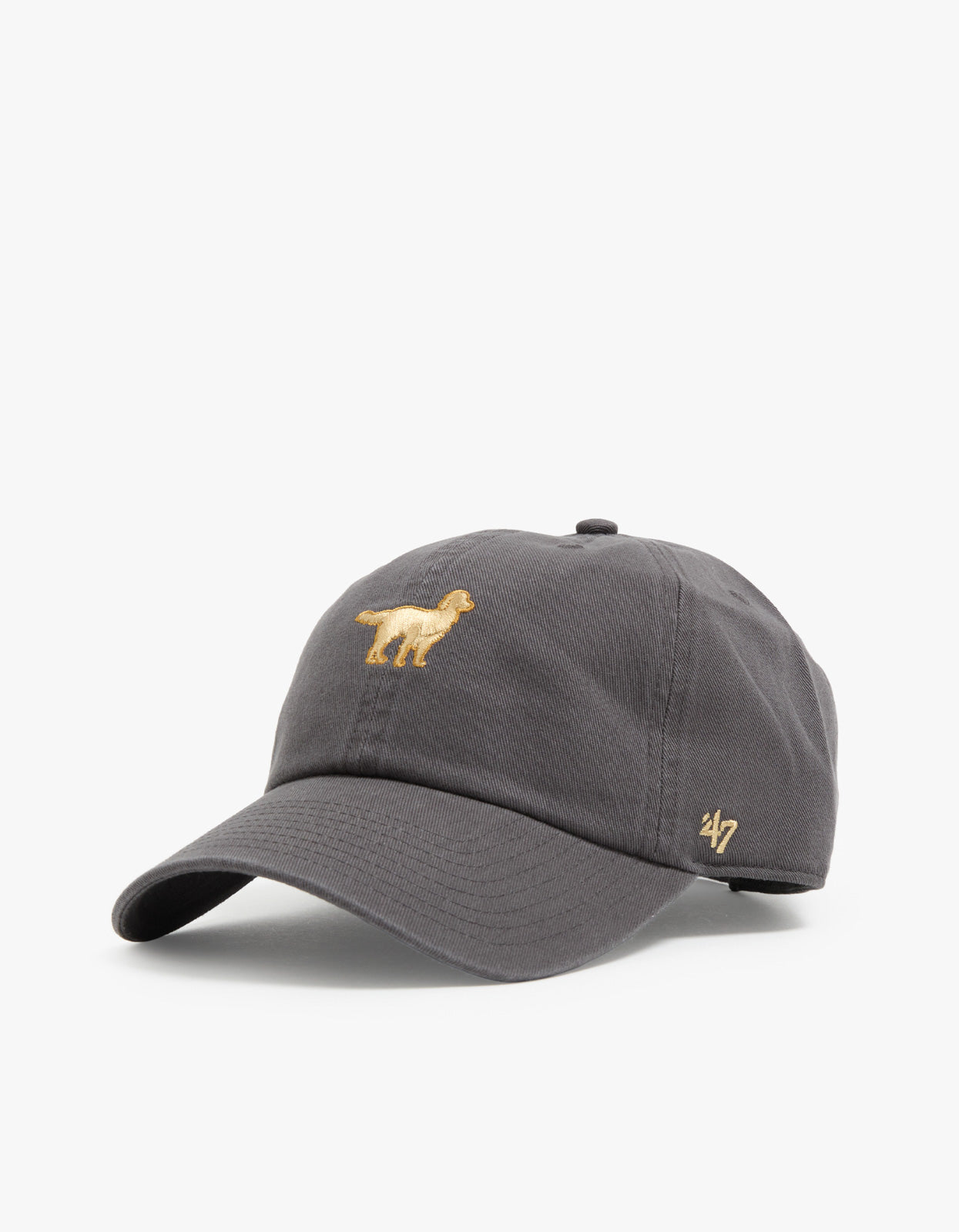 Golden Retriever Base Runner '47 CLEAN UP Cap - Charcoal