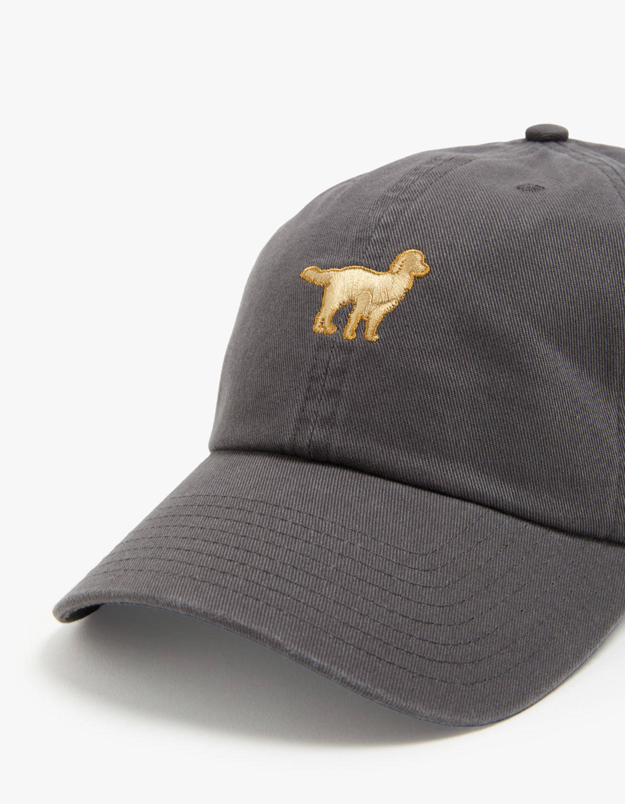 Golden Retriever Base Runner '47 CLEAN UP Cap - Charcoal