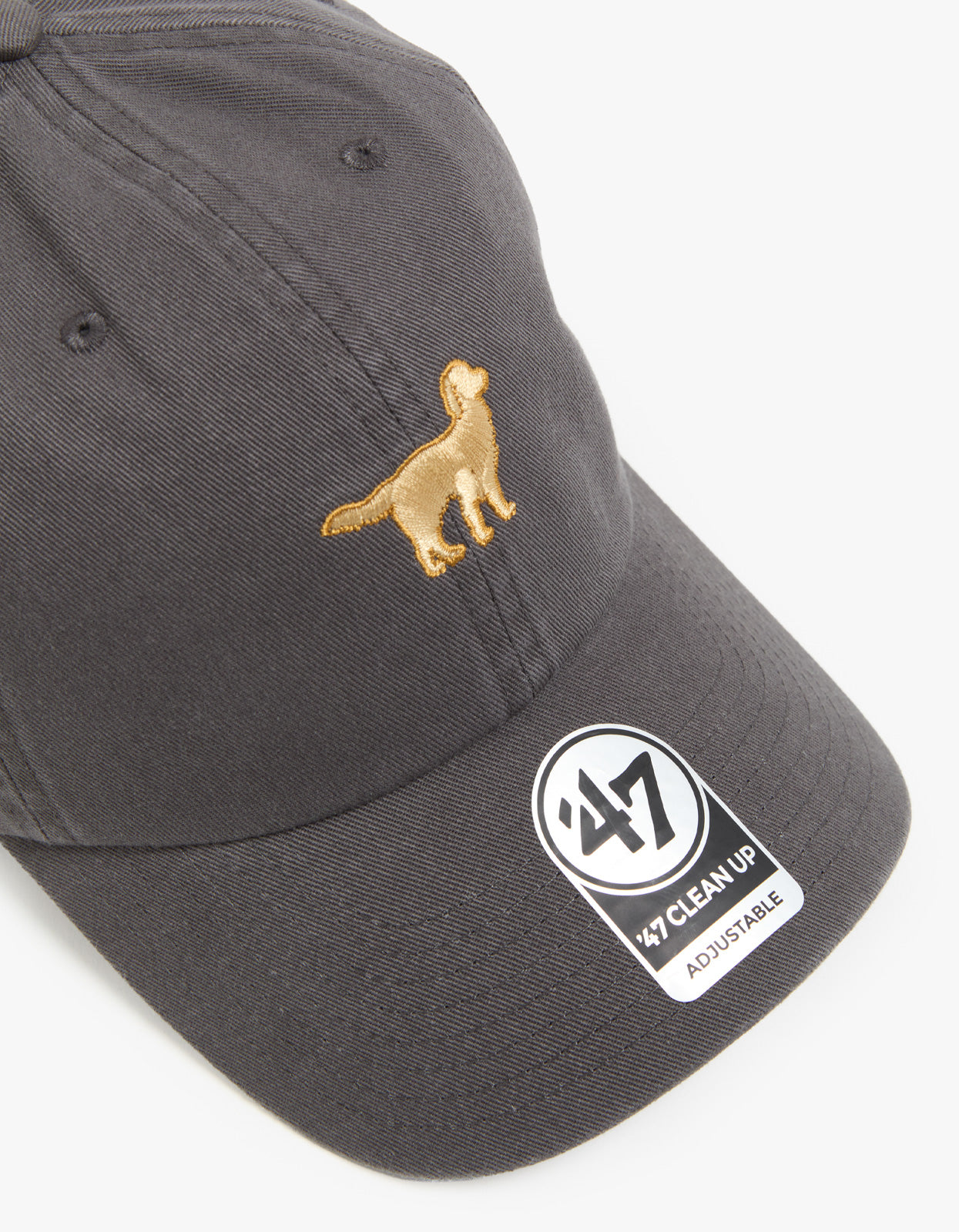 Golden Retriever Base Runner '47 CLEAN UP Cap - Charcoal