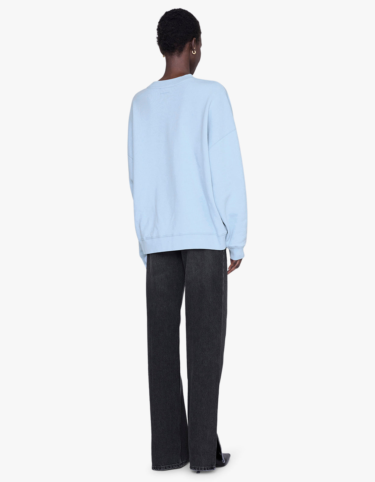 Miles Sweatshirt Anine Bing - Pale Blue