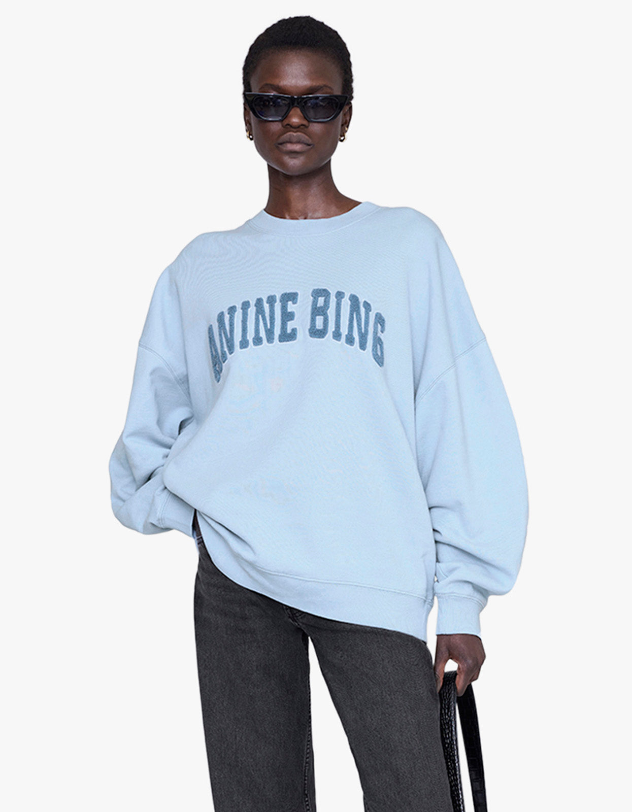 Miles Sweatshirt Anine Bing - Pale Blue