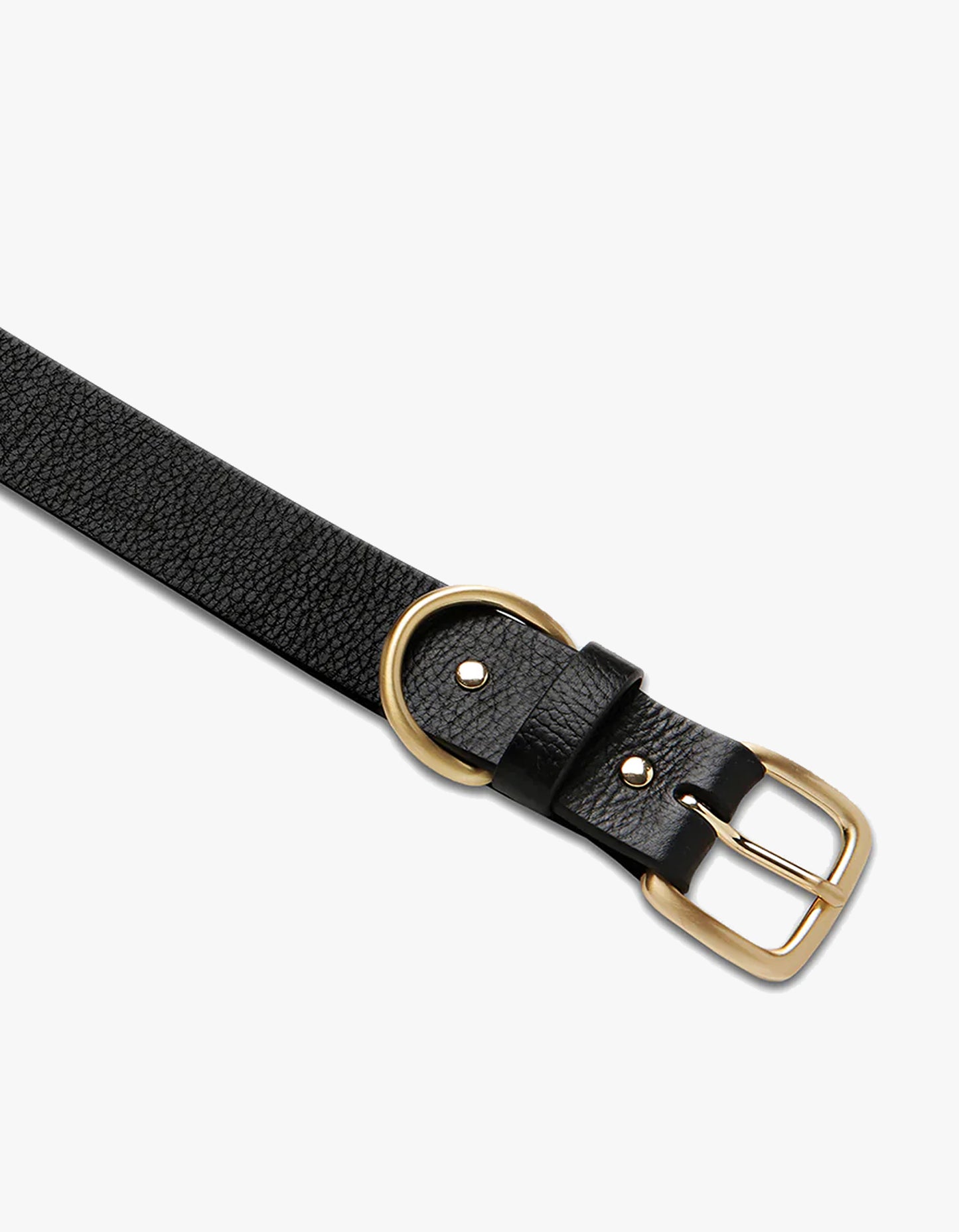 Disarm Belt - Black/Gold