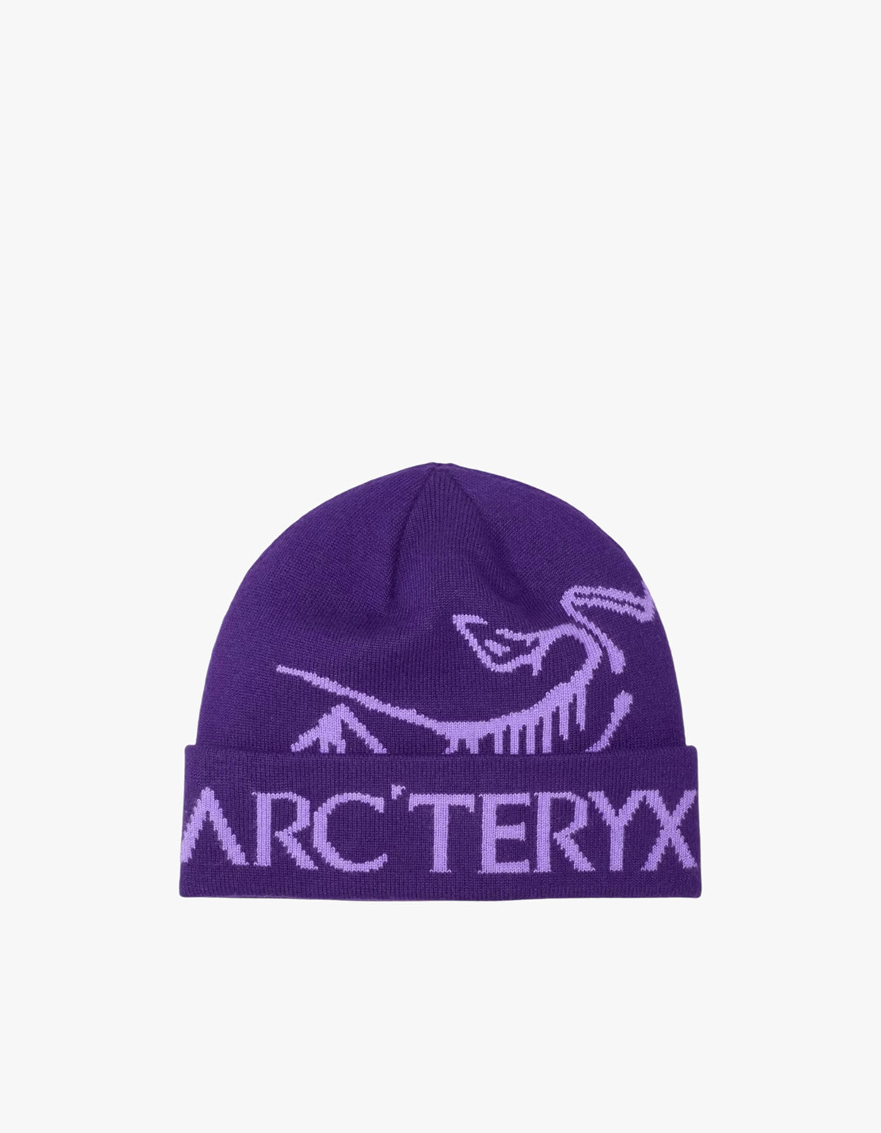 Bird Word Toque - Azalea/Aster