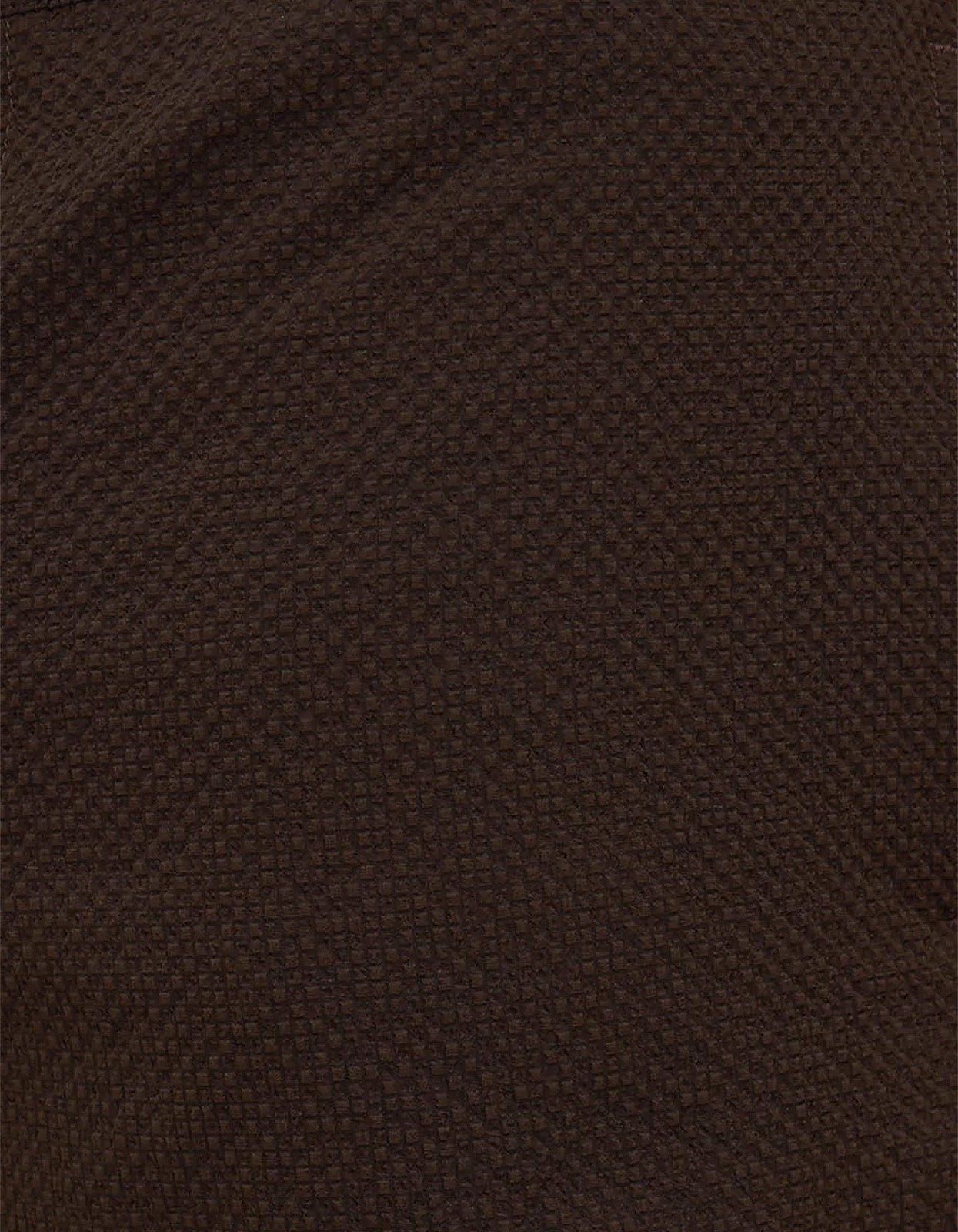 Seth Swim Short - Ganache