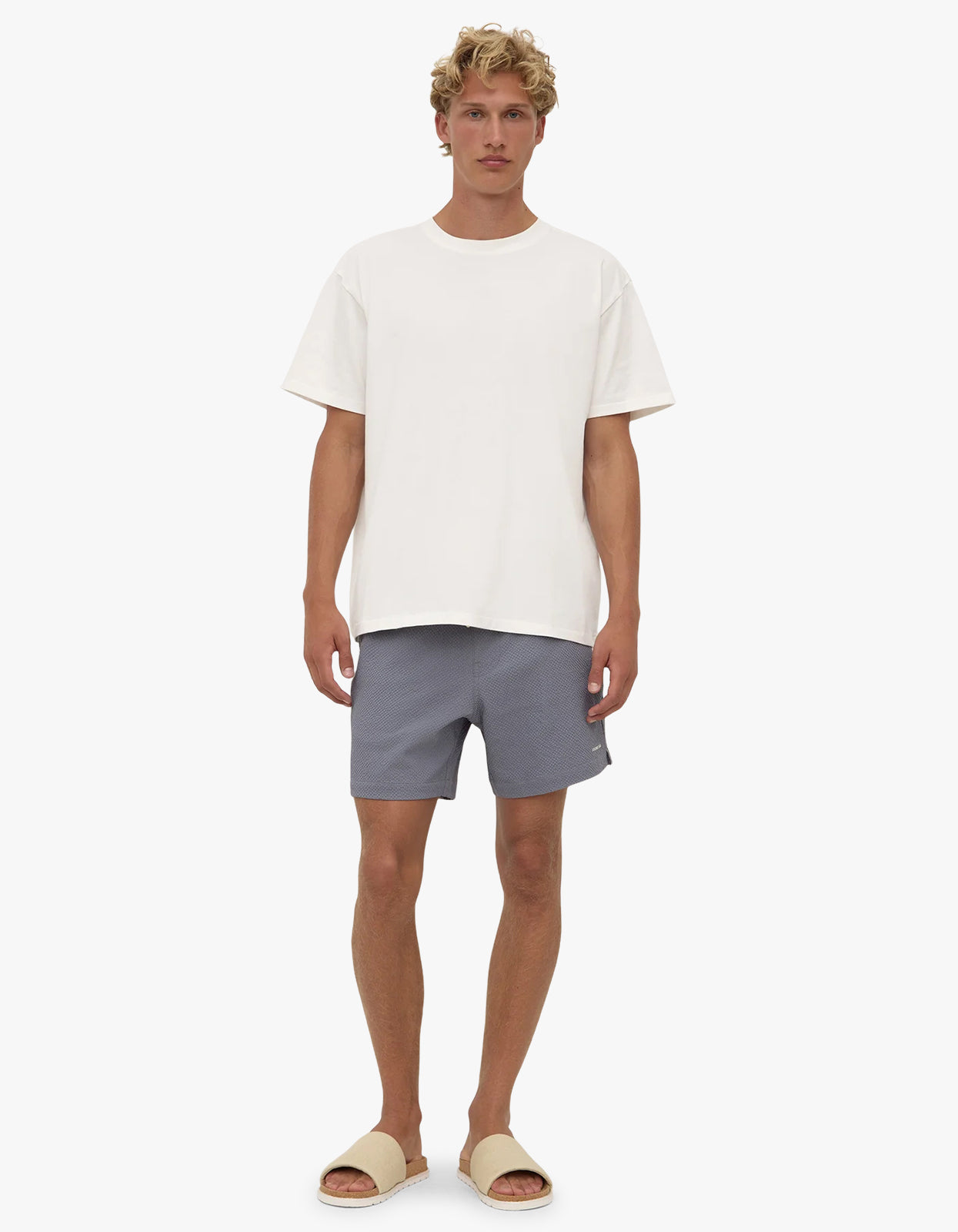 Seth Swim Short - Ashphalt