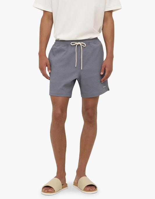 Seth Swim Short - Ashphalt