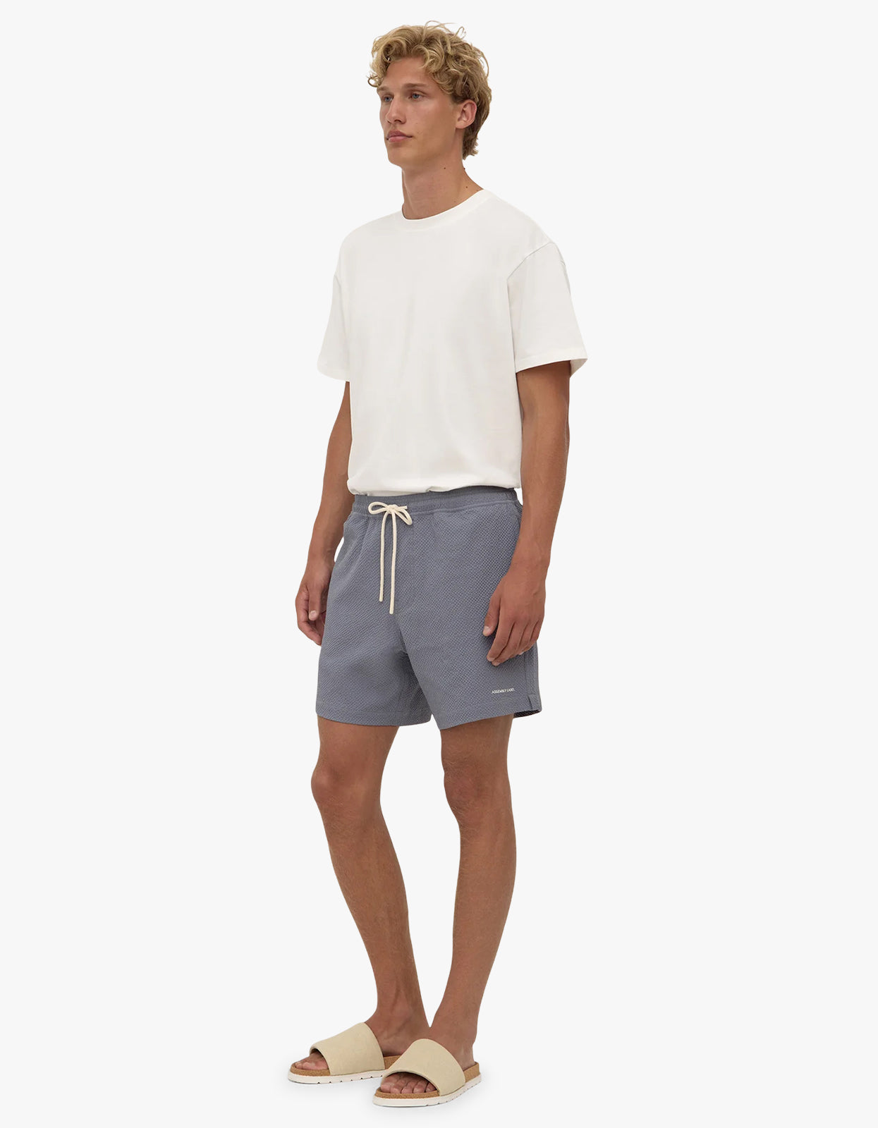 Seth Swim Short - Ashphalt
