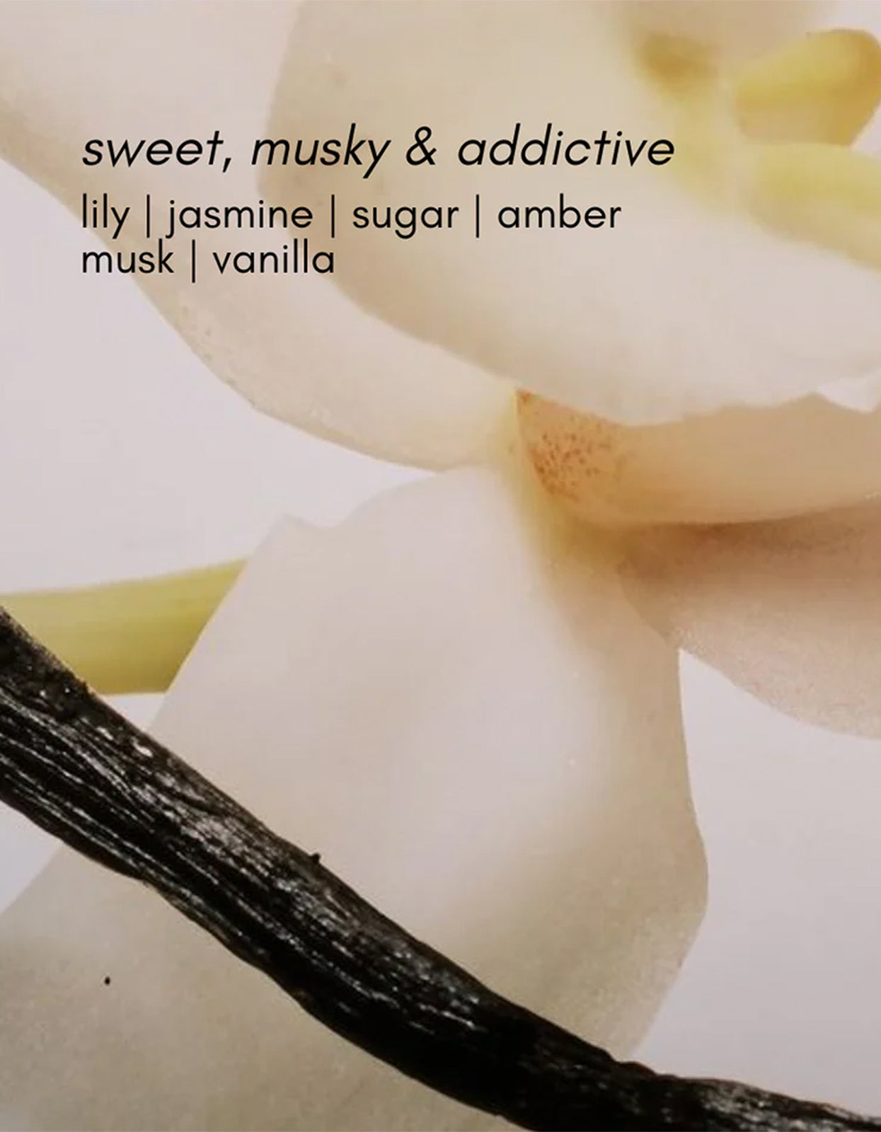 Mister Vanilla Perfume 30ml - Clear
