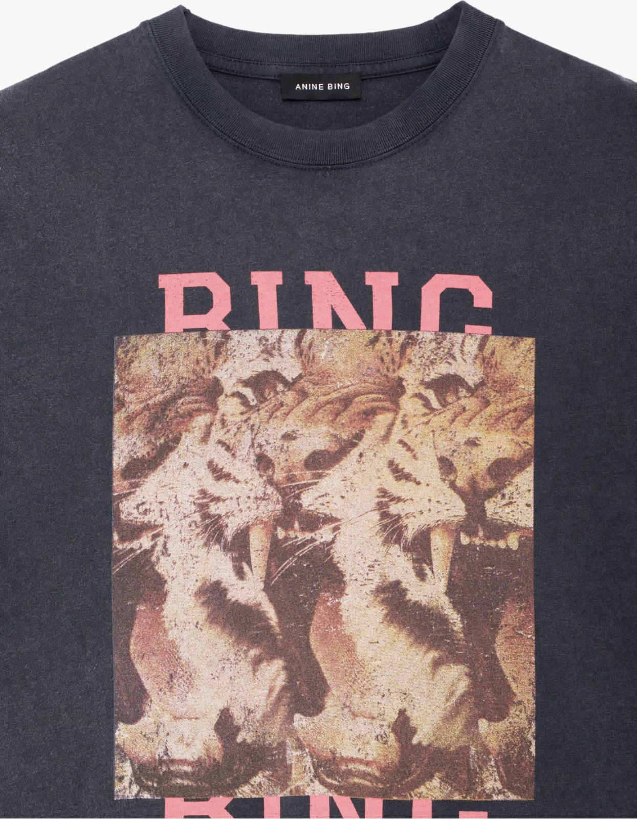 Cade Tee Tiger Bing - Washed Black