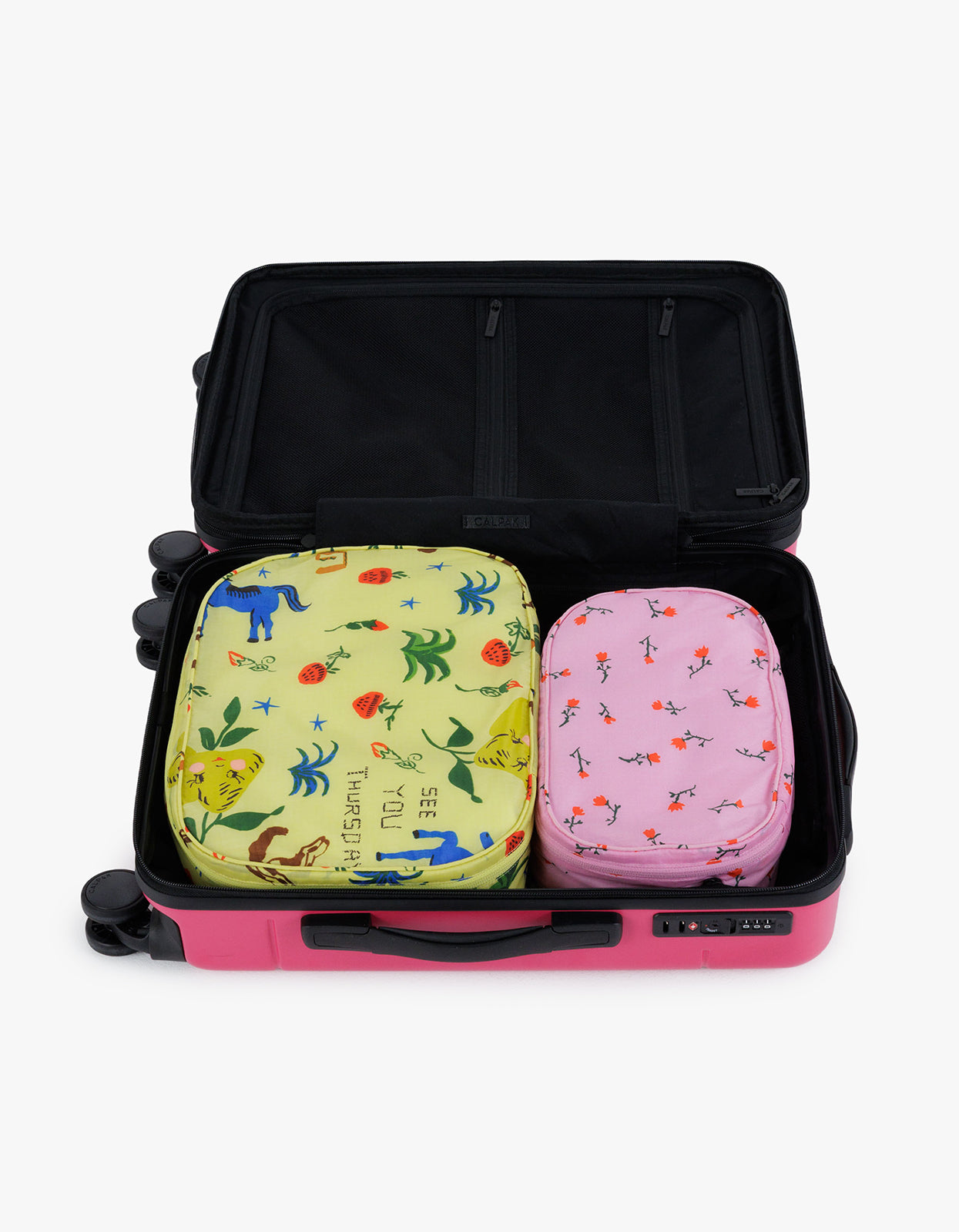 Packing Cube Set - Painted Prairie