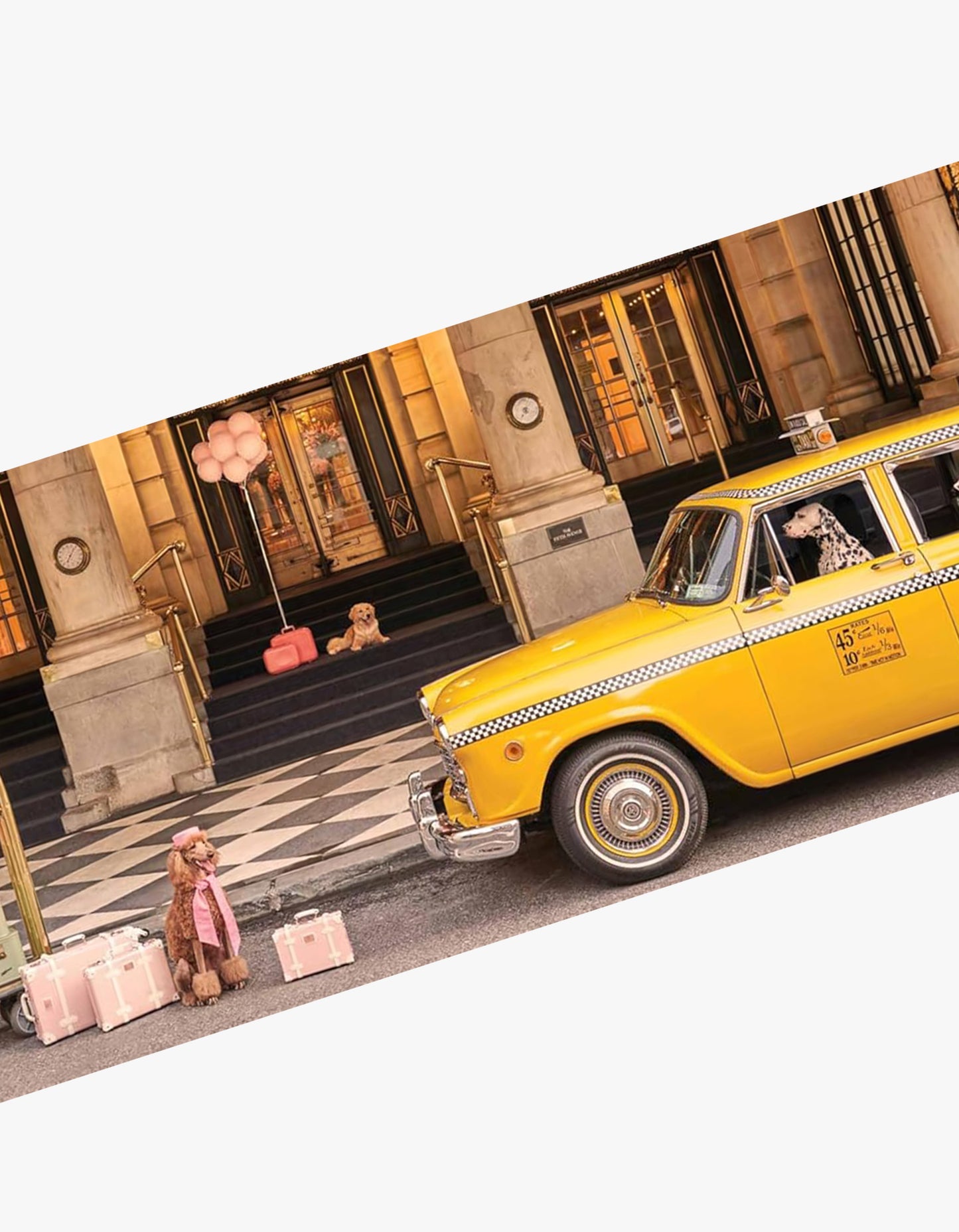 Gray Malin Dogs Book