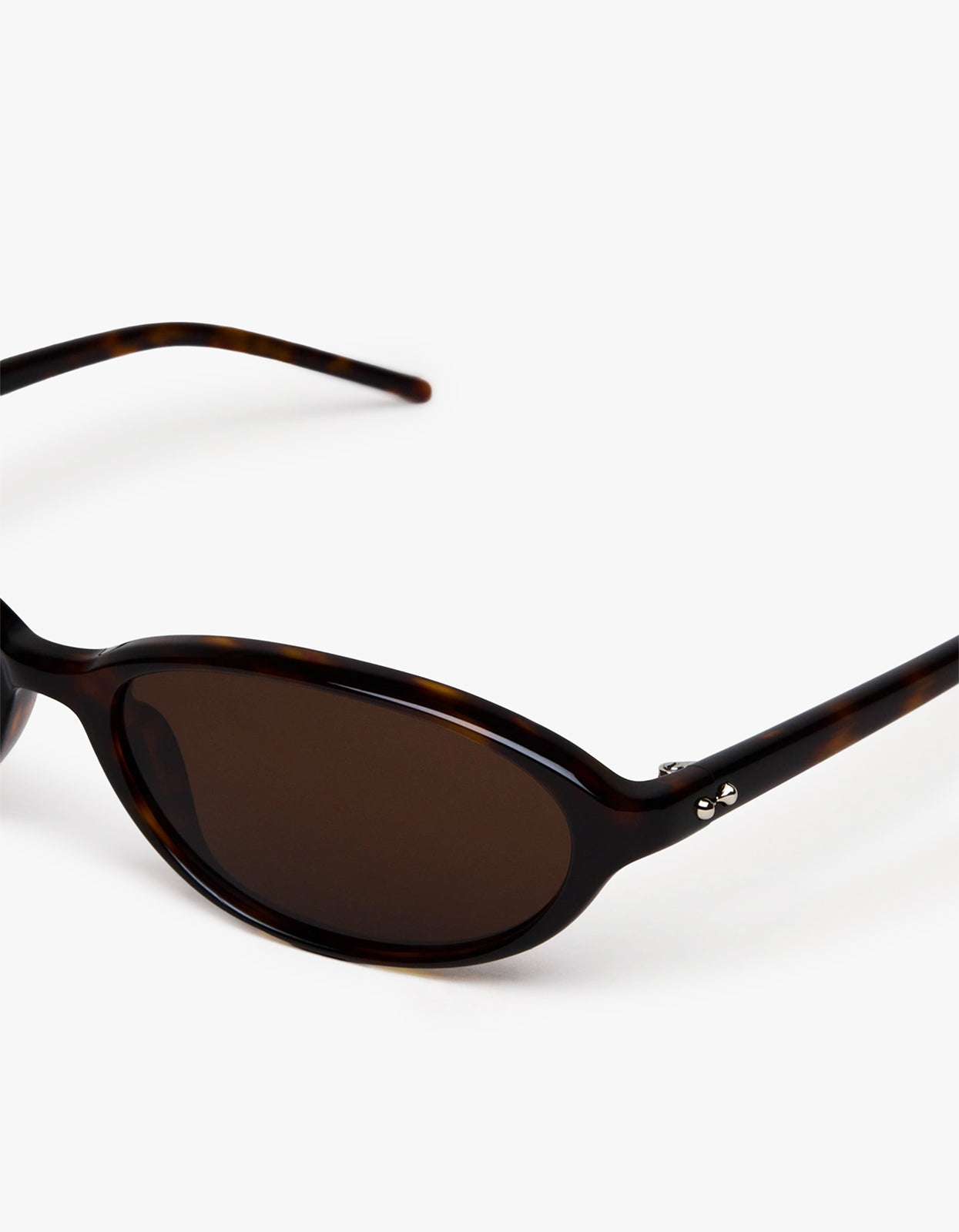 Elipse Sunglasses - Tortoise