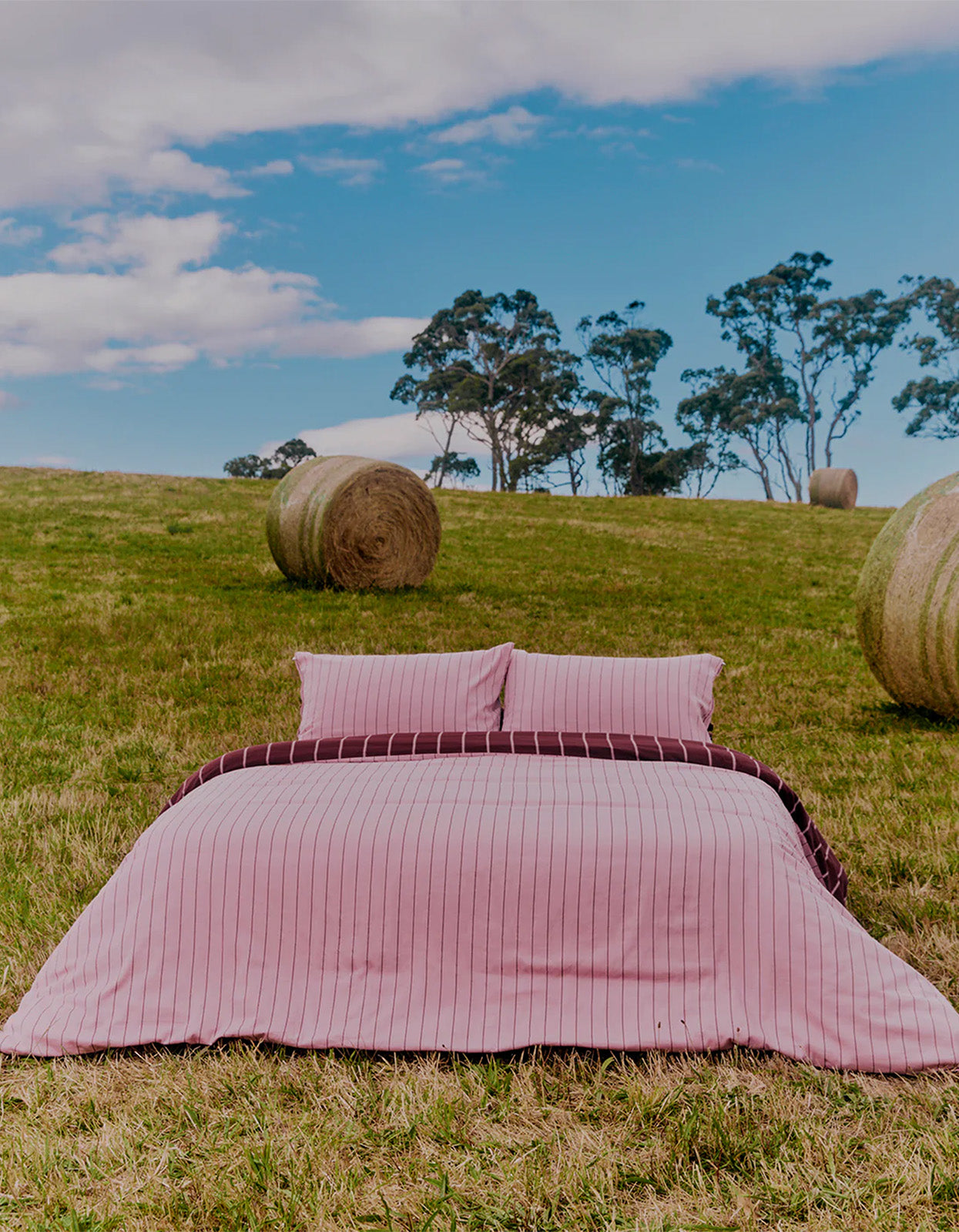 Aster Pillowcase Pair