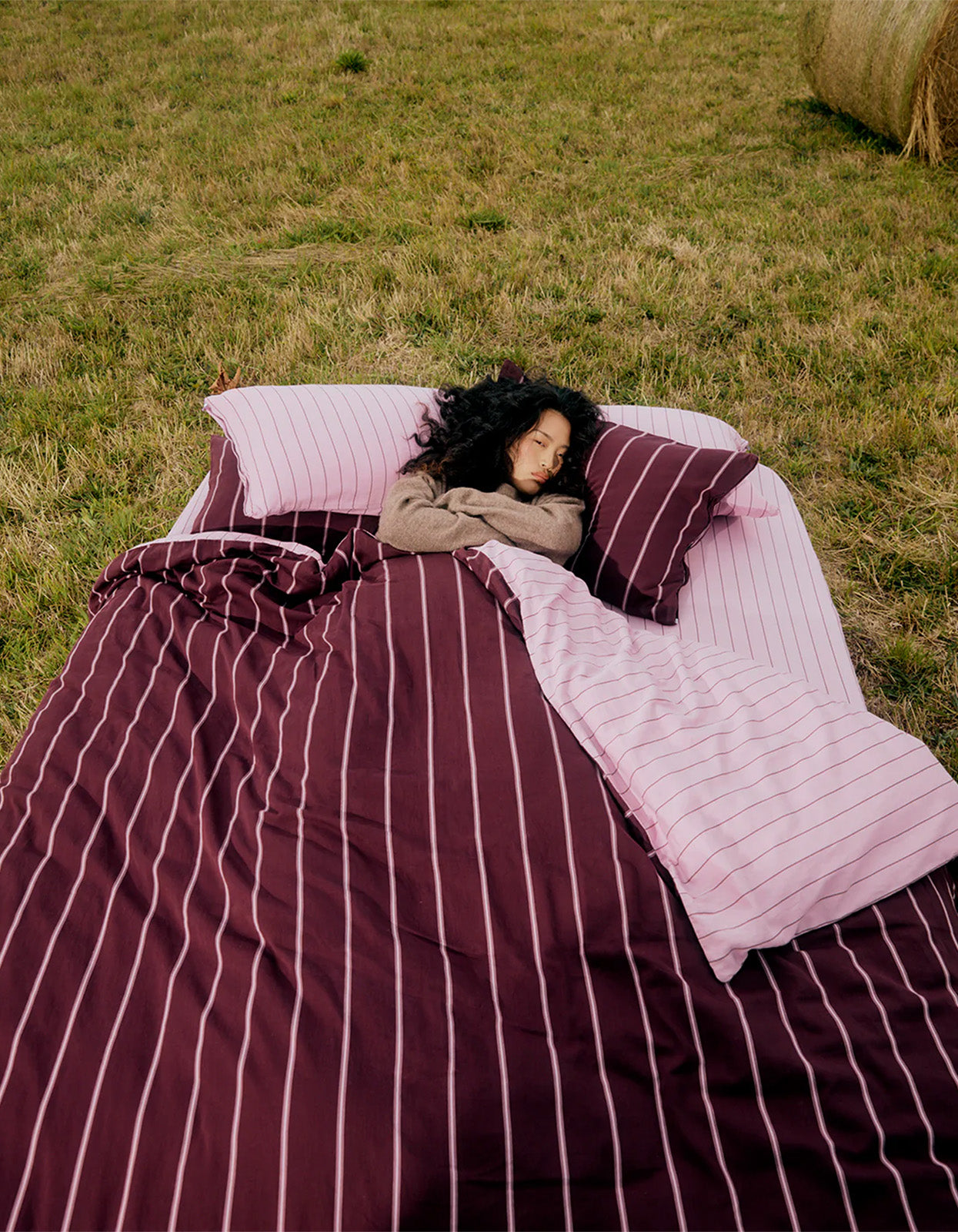 Mulberry And Aster Quilt Cover