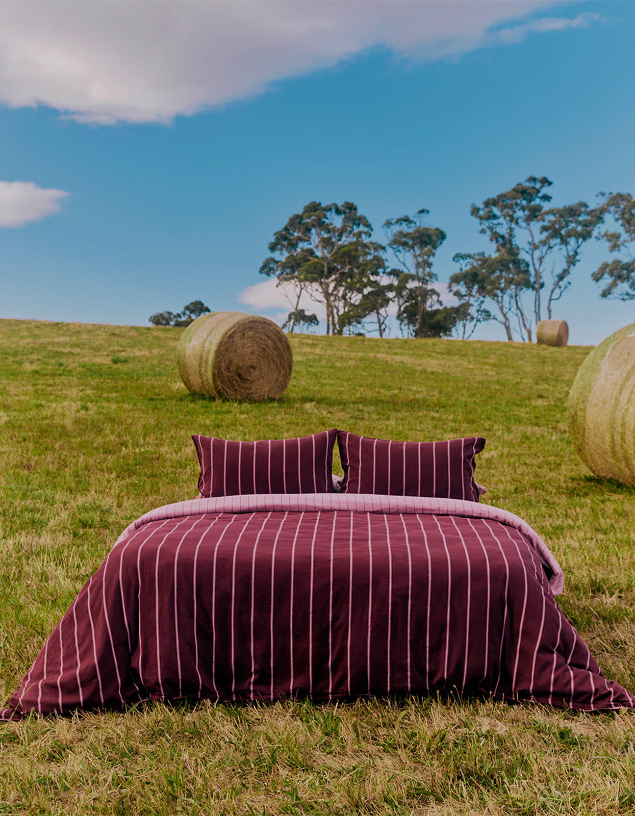 Mulberry Pillowcase Pair