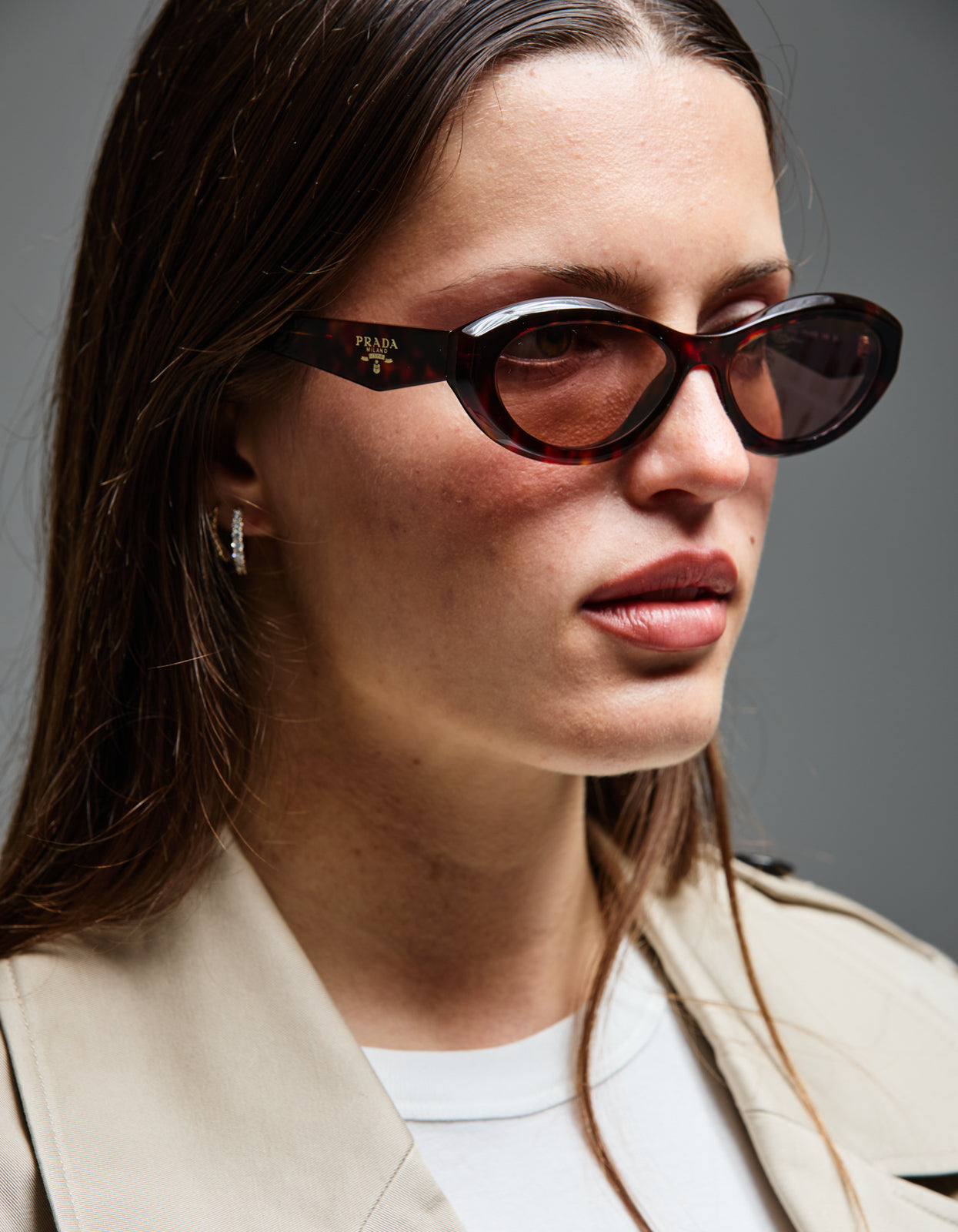 PR 26ZS - Root Tortoise