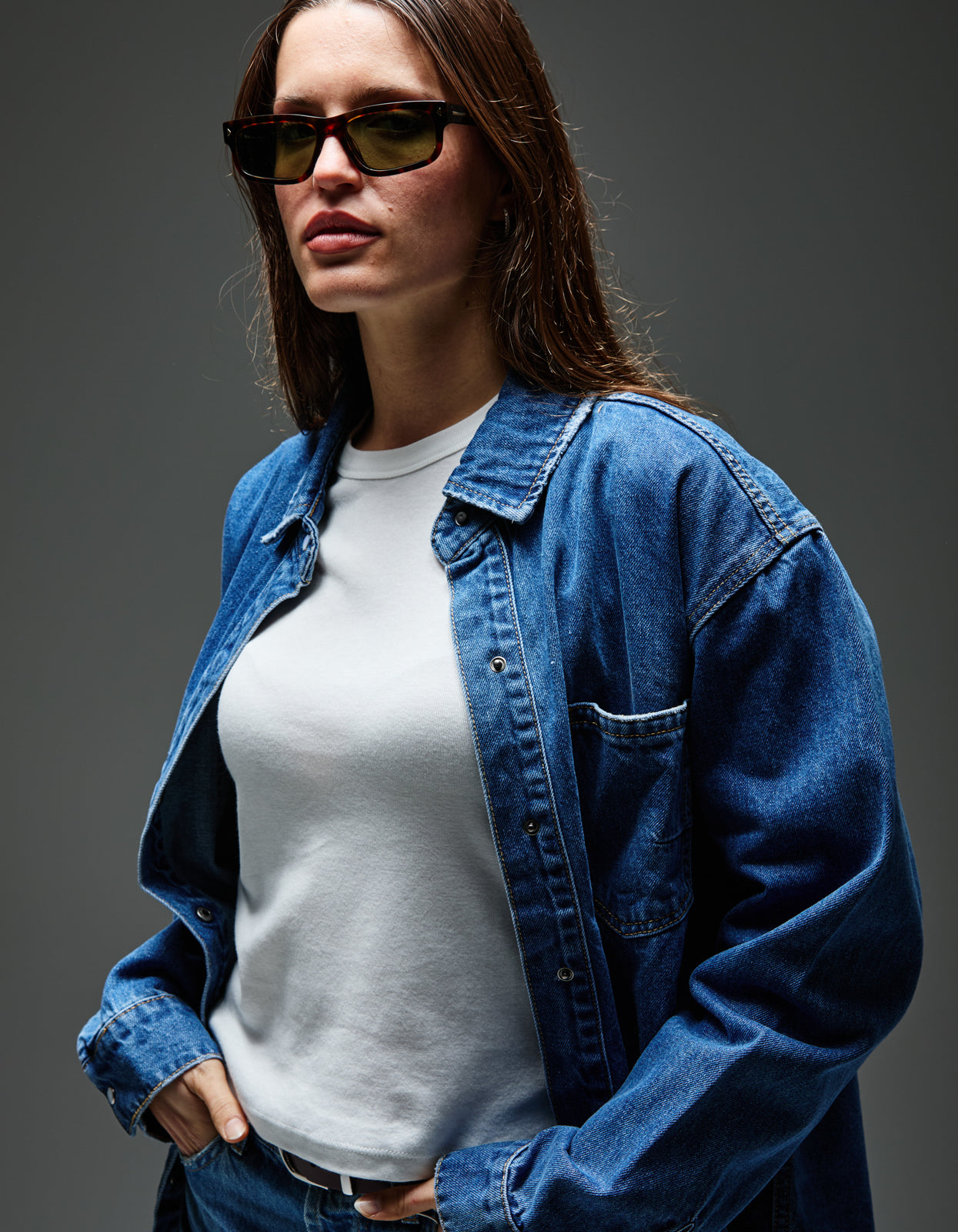 PR B11S - Root Tortoise