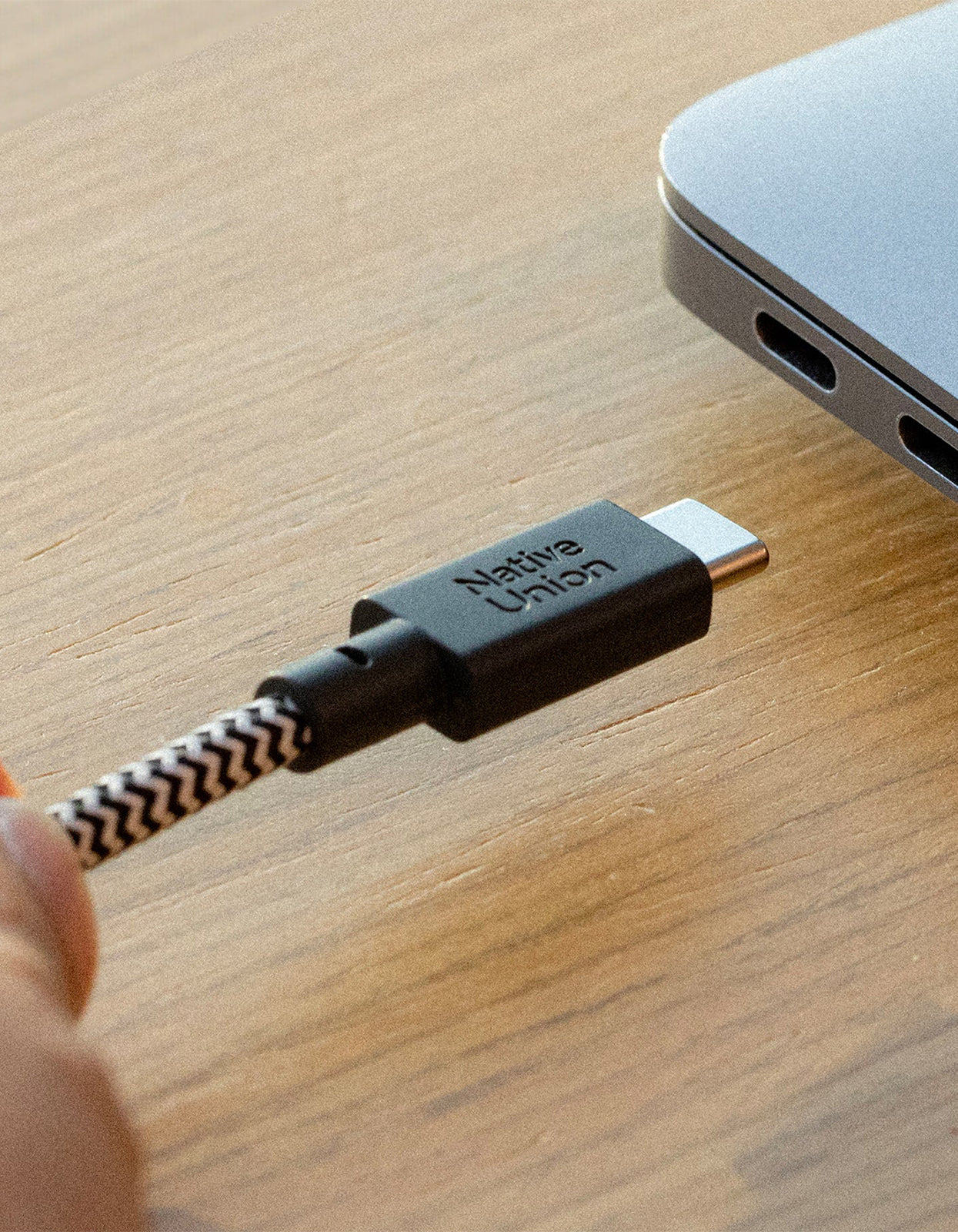 Belt Cable XL - Zebra