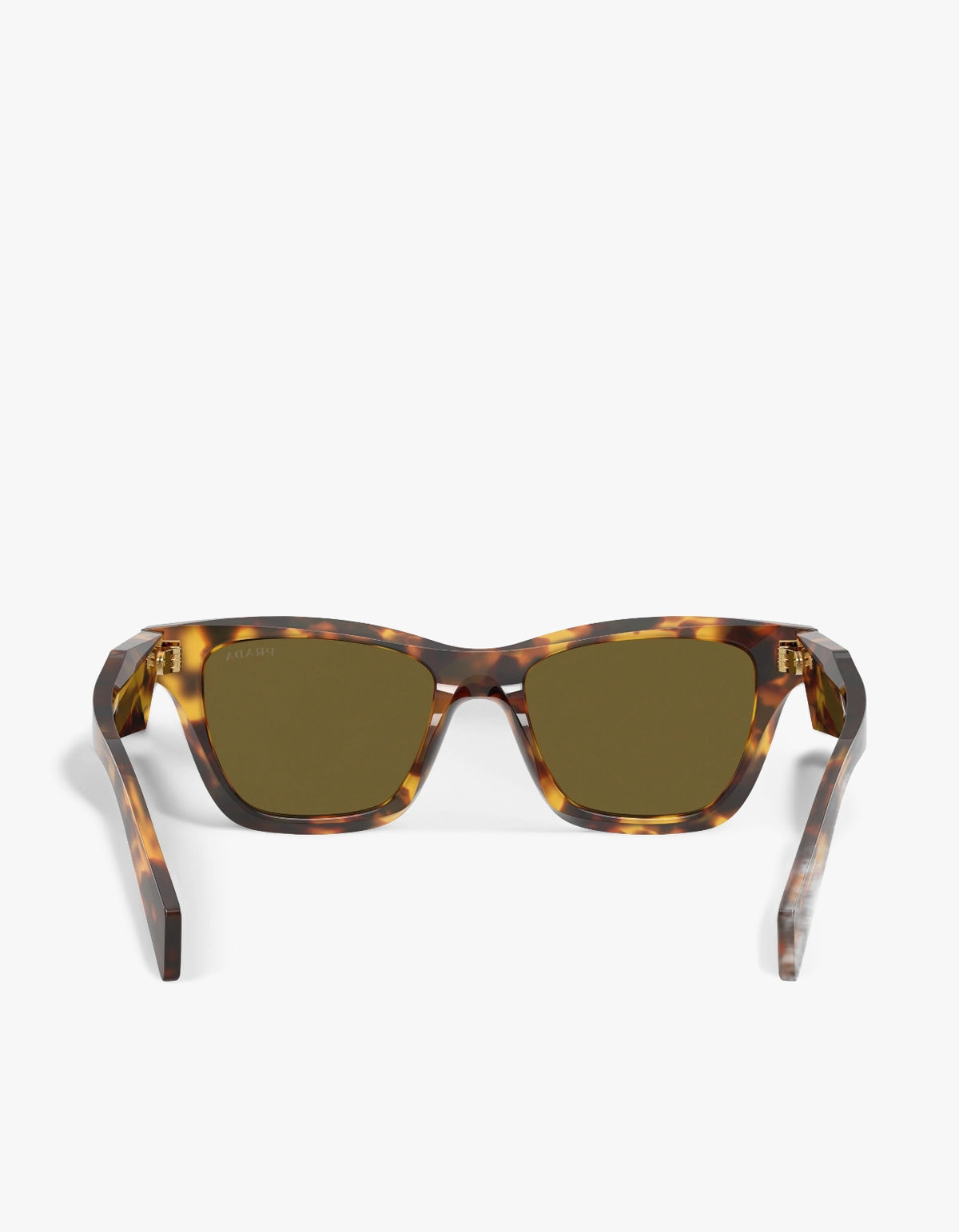 0Pr C07Sf - Honey Tortoise