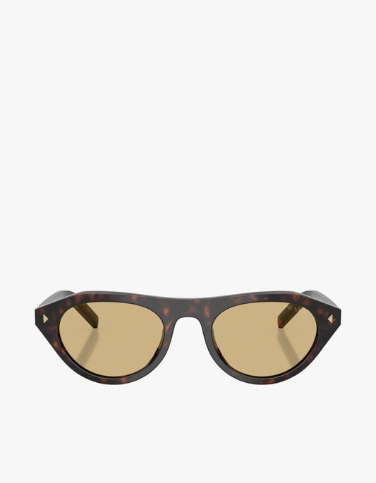 PR B15SF Sunglasses - Root Tortoise