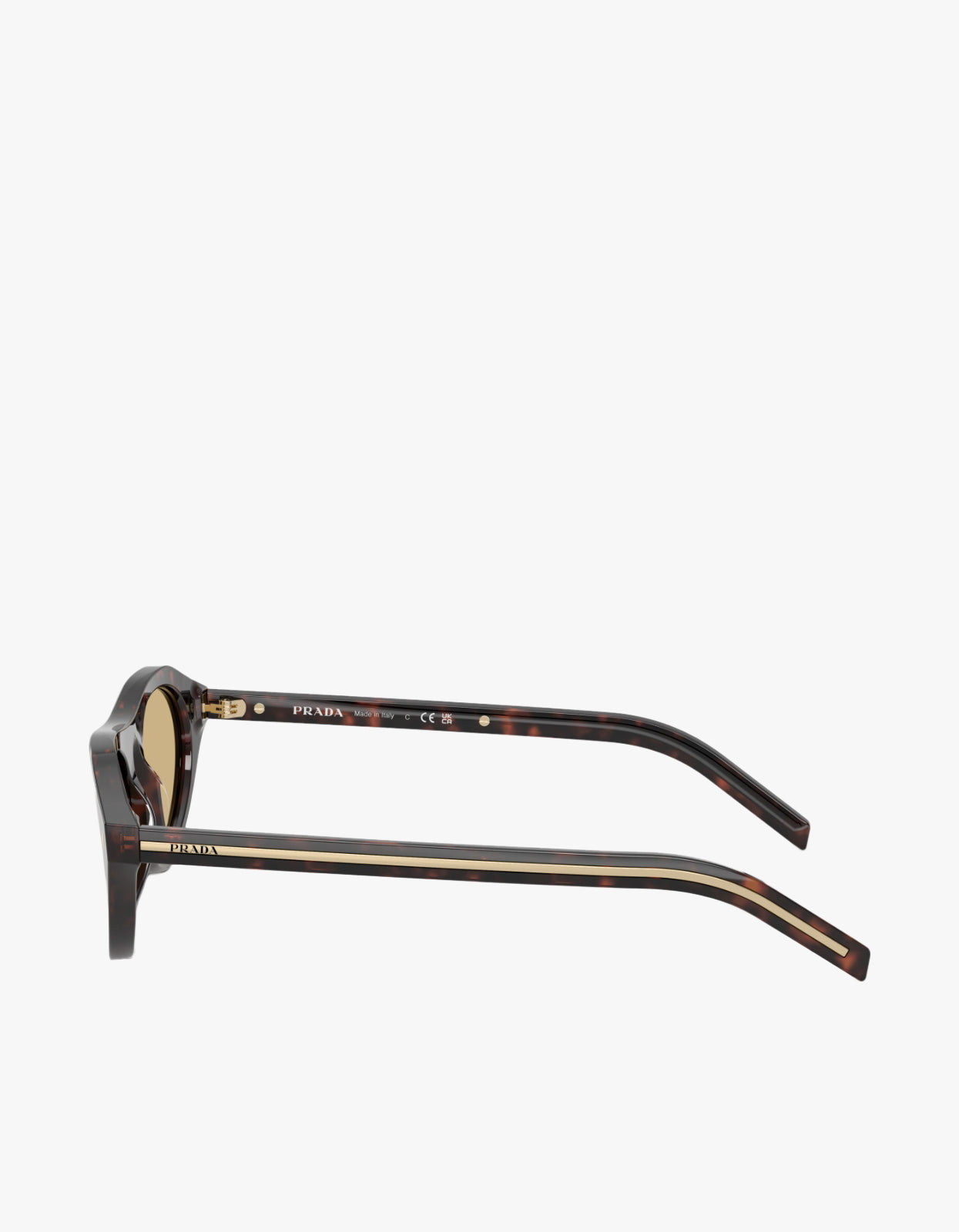 PR B15SF Sunglasses - Root Tortoise