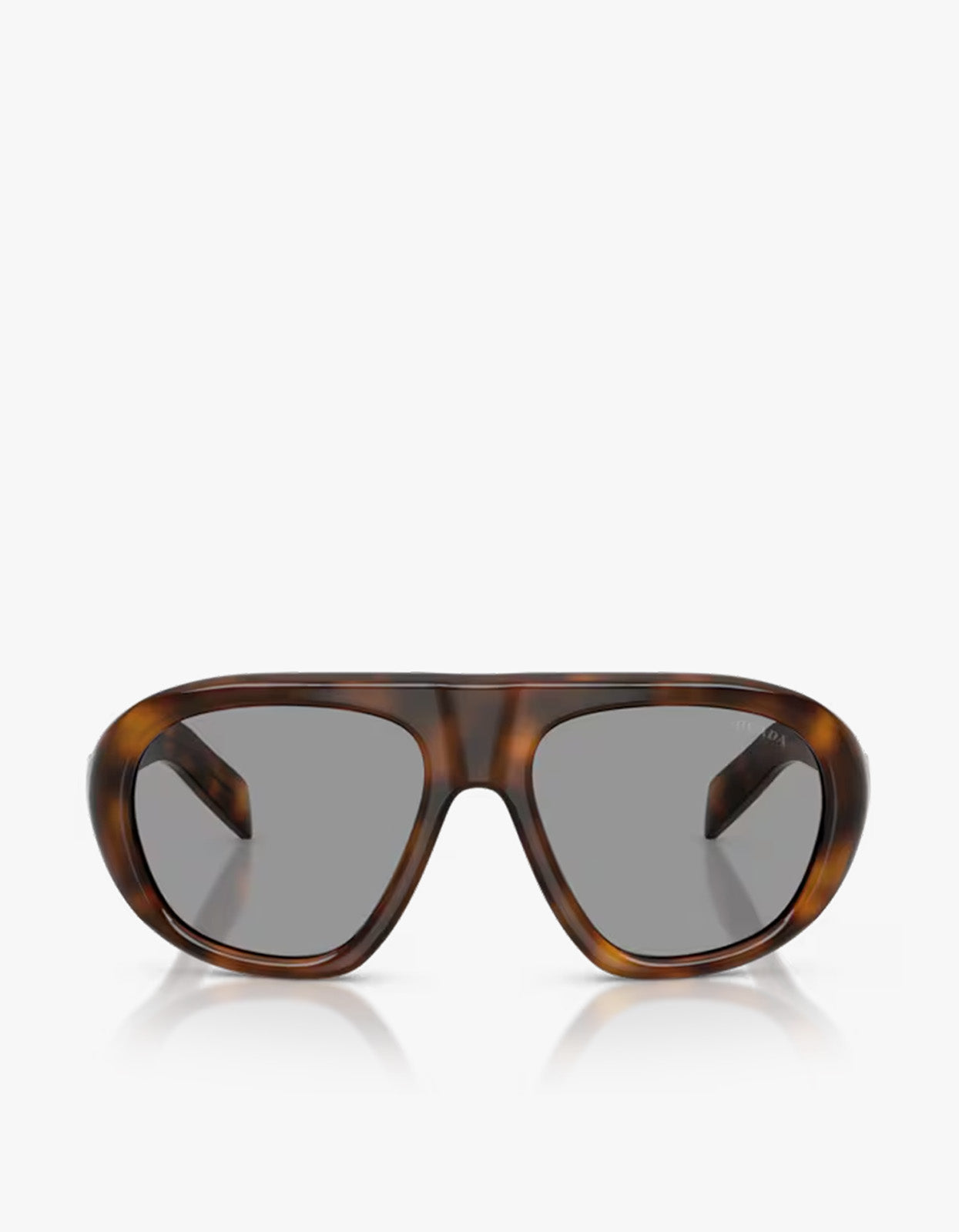 PR C05S - Juniper Tortoise