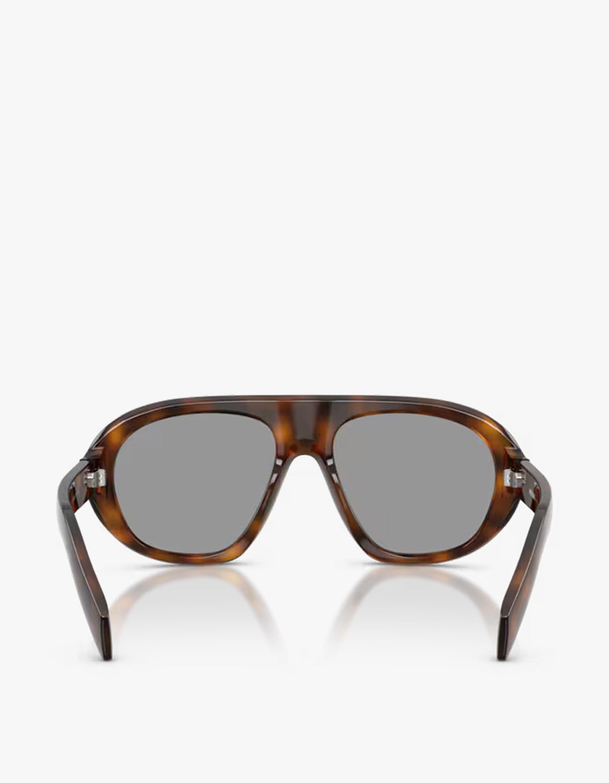 PR C05S - Juniper Tortoise