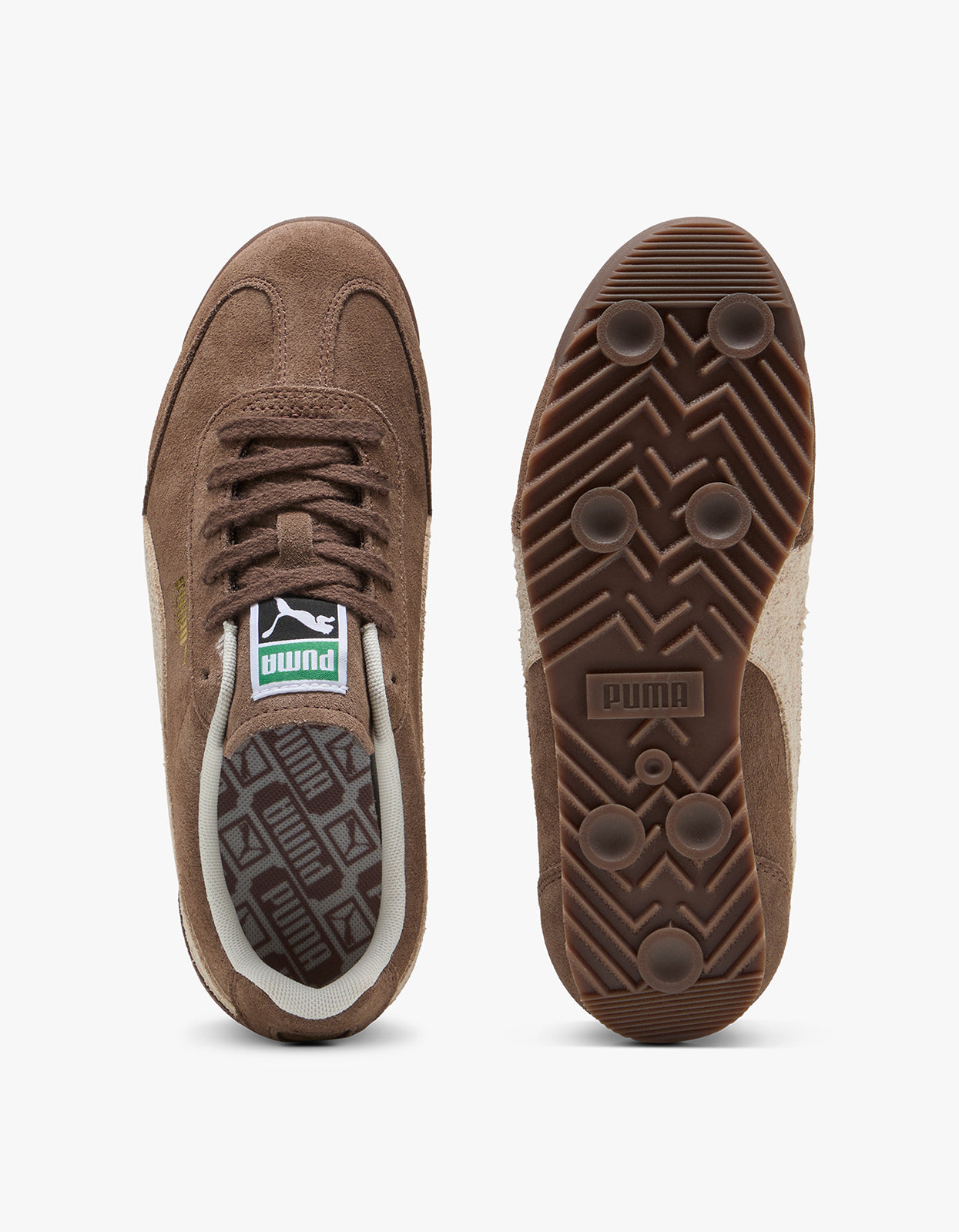 Womens Arizona SD - Flat Bronze/Alpine Snow/Puma Gold