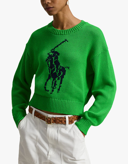 Big Pony Cotton Crewneck Sweater - Palm Green