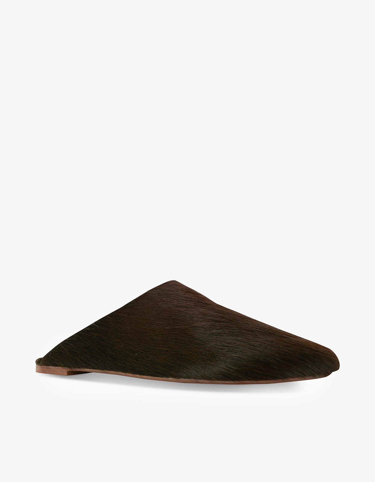 Caelan Mule - Cocoa