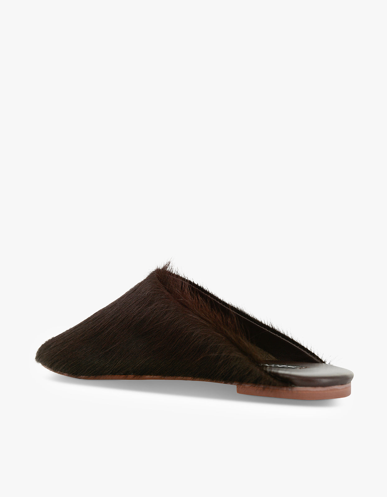 Caelan Mule - Cocoa
