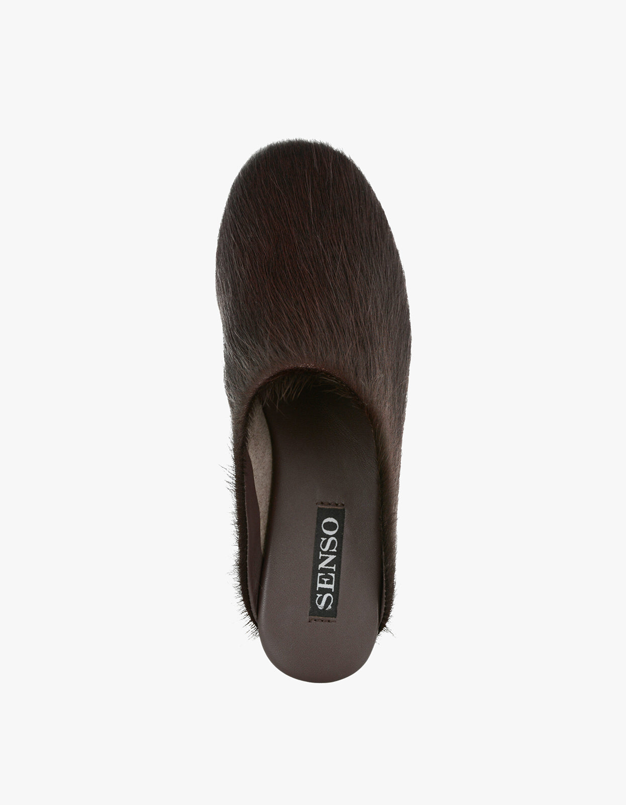 Caelan Mule - Cocoa