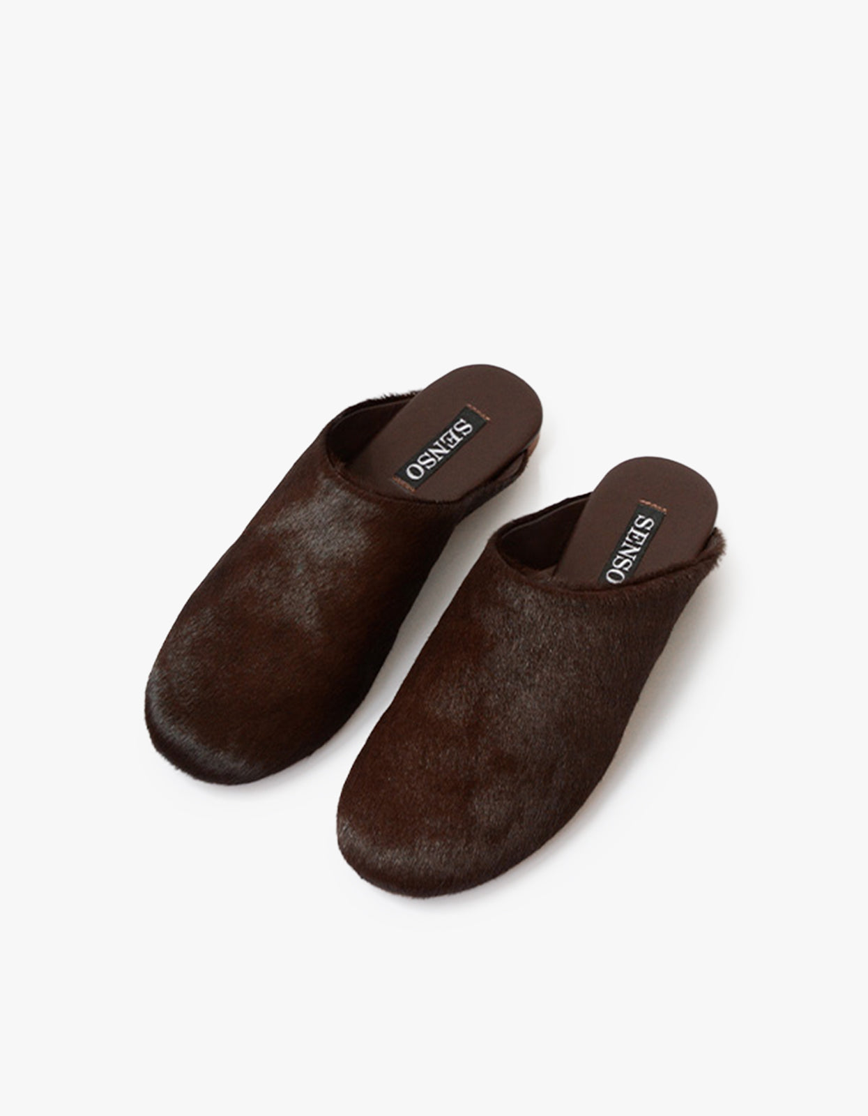 Caelan Mule - Cocoa