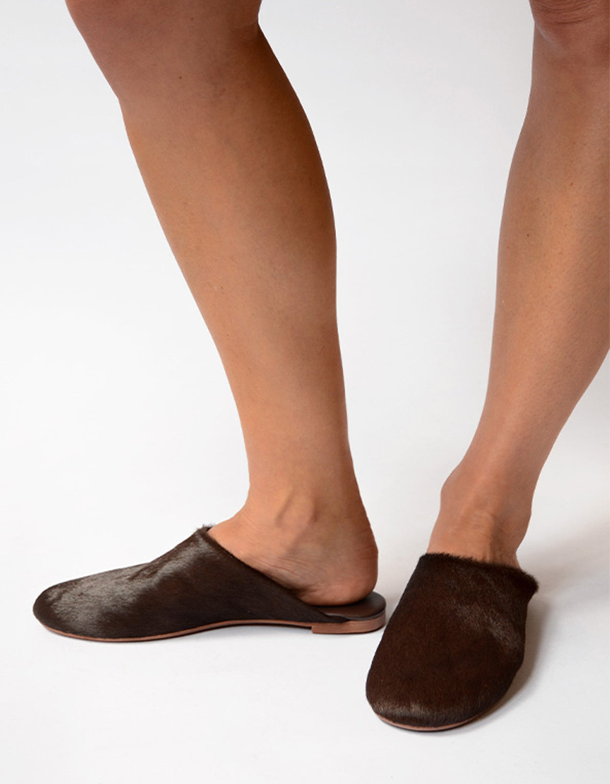 Caelan Mule - Cocoa