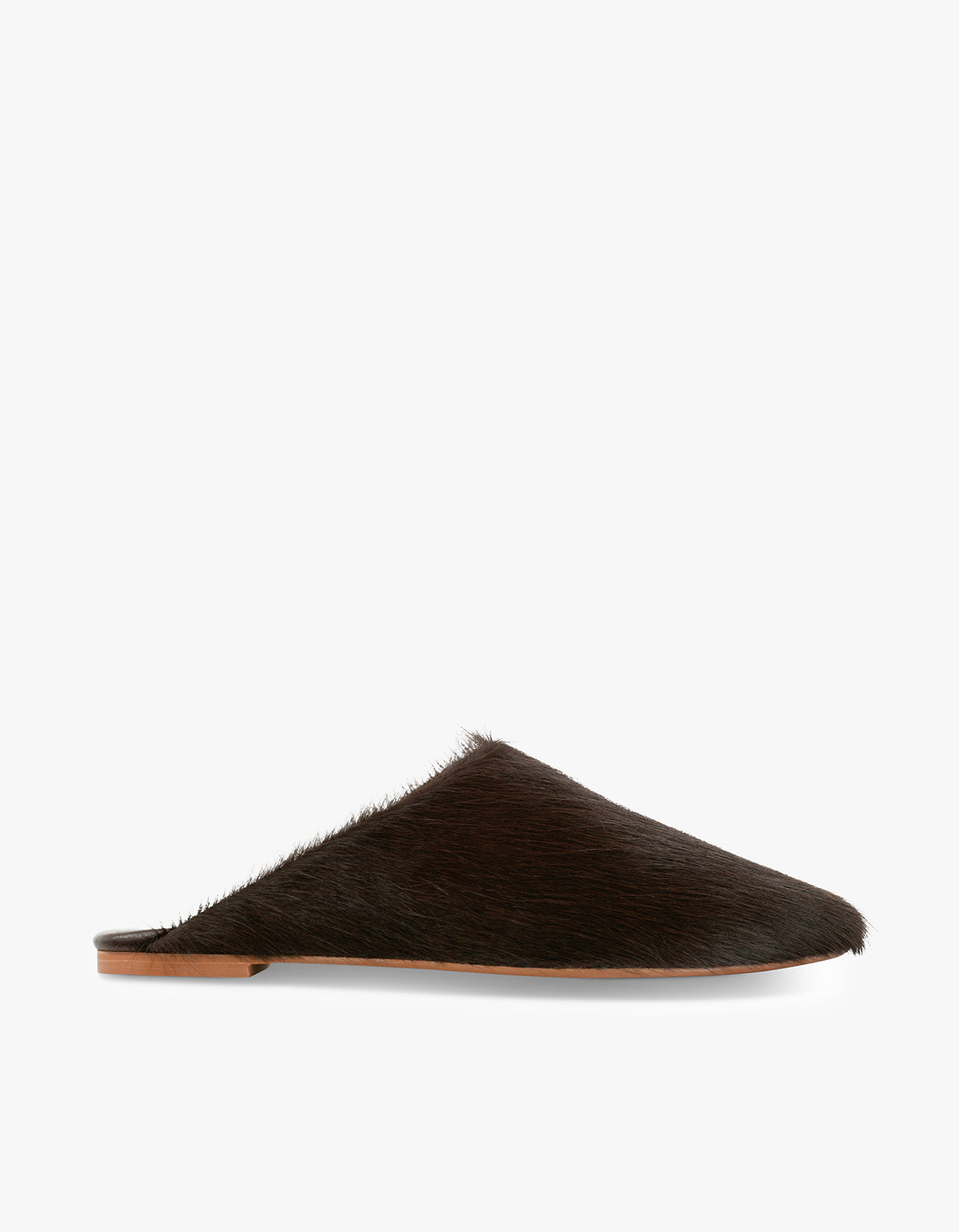 Caelan Mule - Cocoa