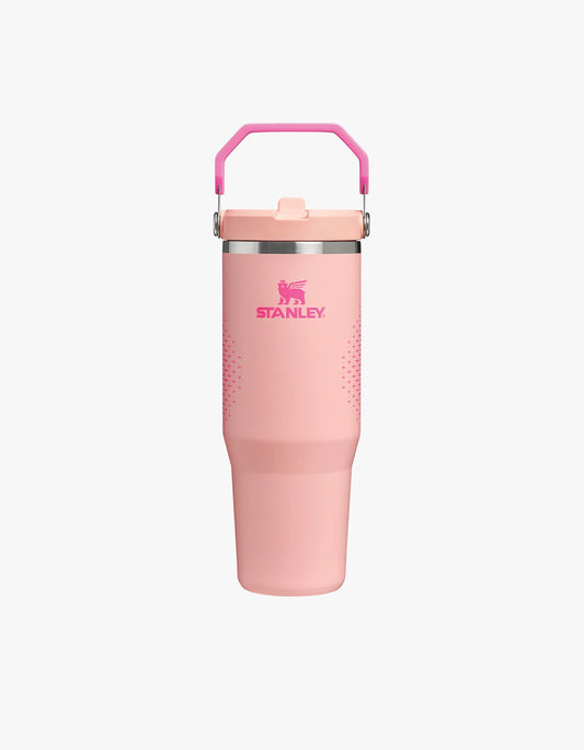 The Iceflow Flip Straw 2.0 Tumbler 30Oz - Sorbet Ion