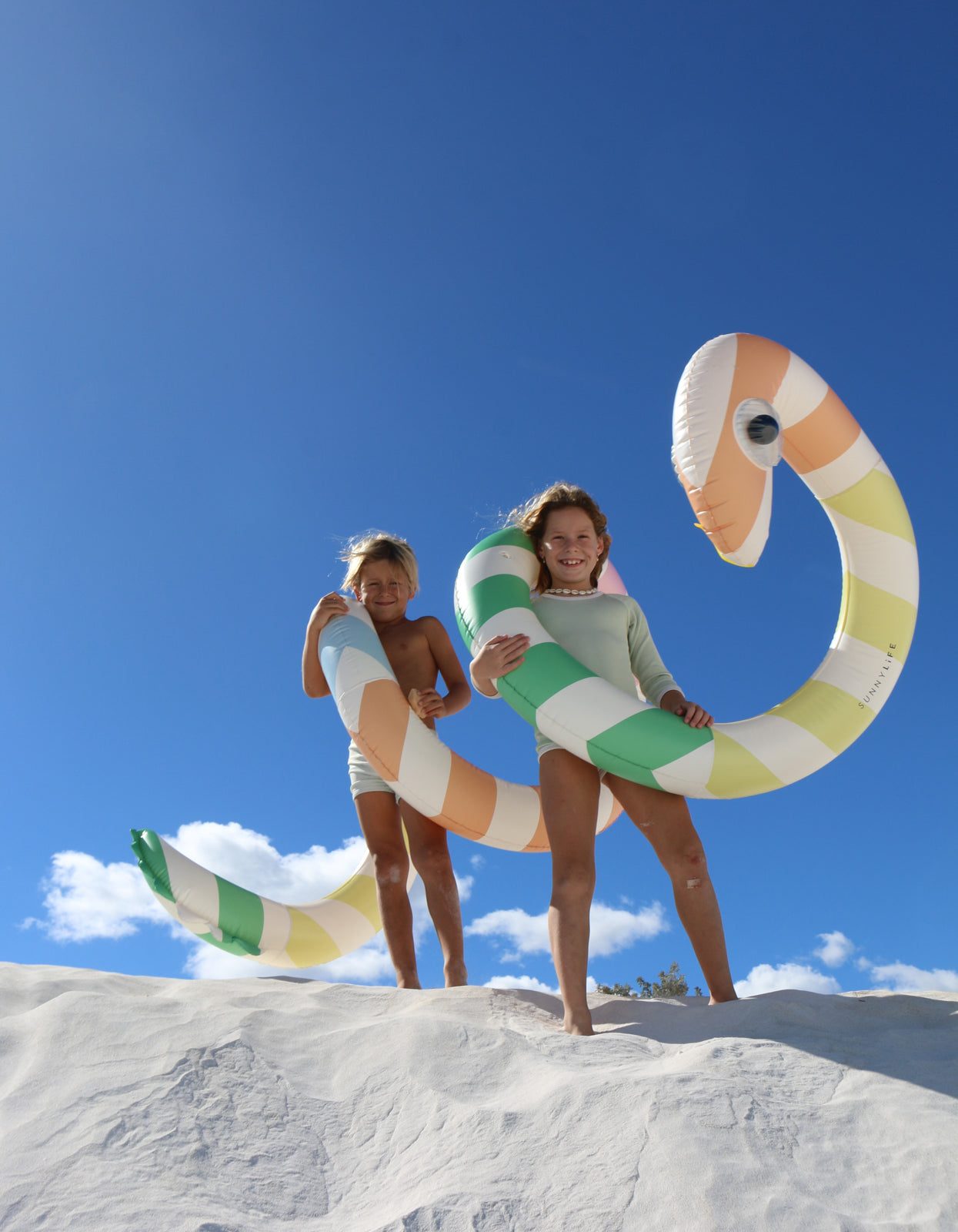 Giant Inflatable Noodle - Poolside Sorbet Stripe