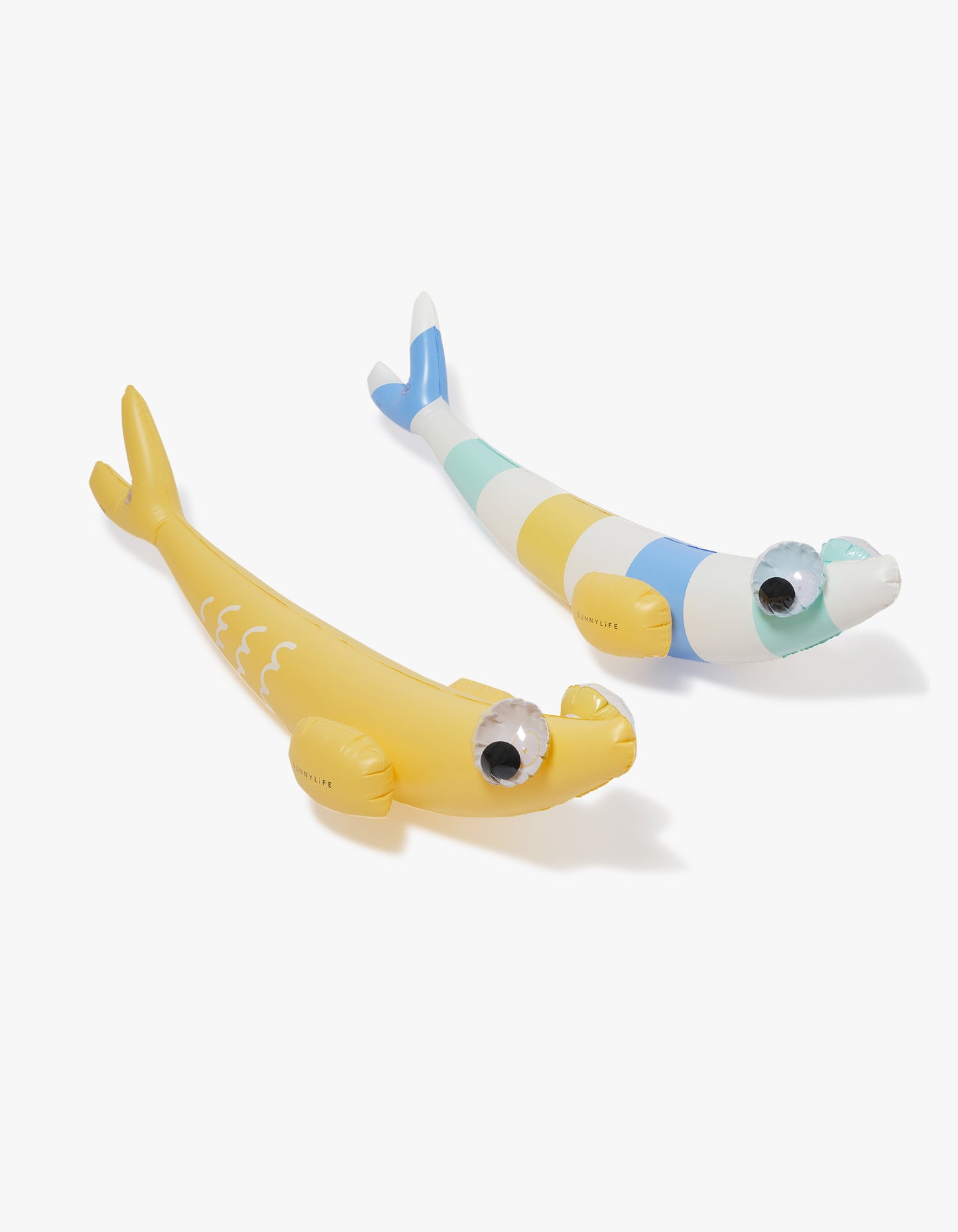 Kids Inflatable Noodle Finn The Fish Multi Set Of 2 - Finn The Fish