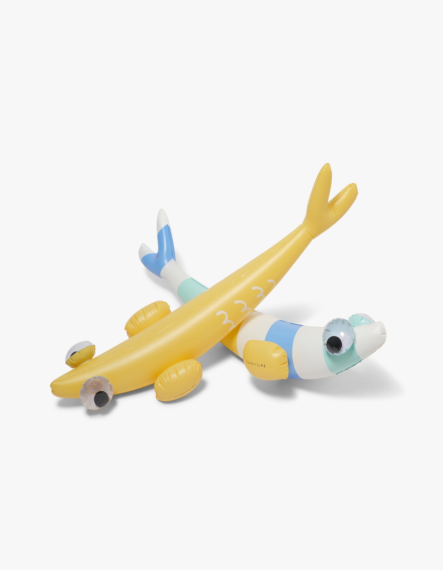 Kids Inflatable Noodle Finn The Fish Multi Set Of 2 - Finn The Fish